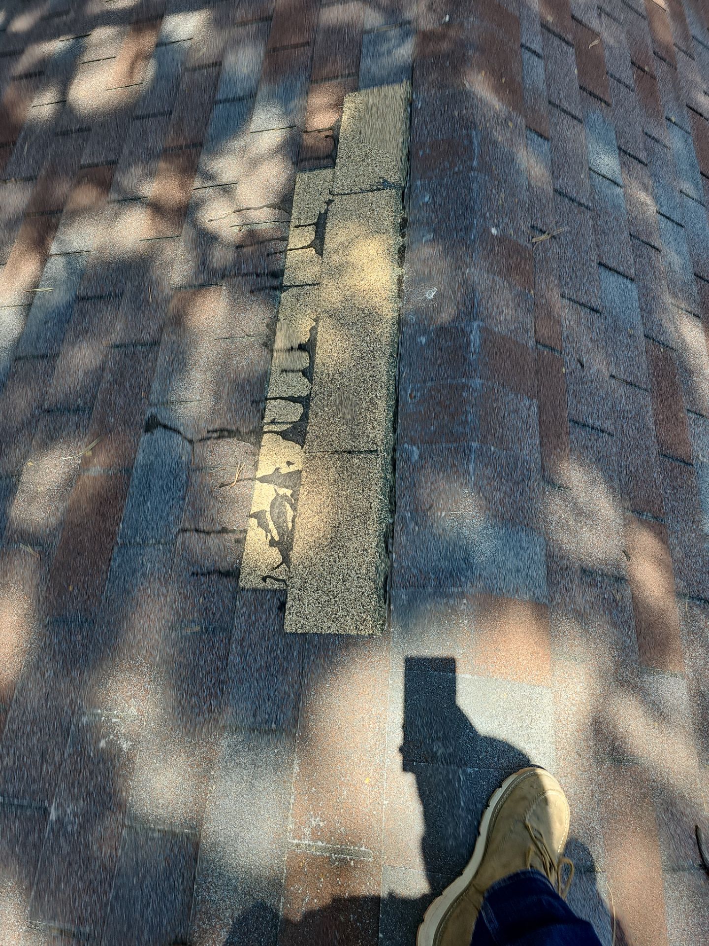 Malarkey Shingles in Arizona by Weather-Tite Exteriors LLC