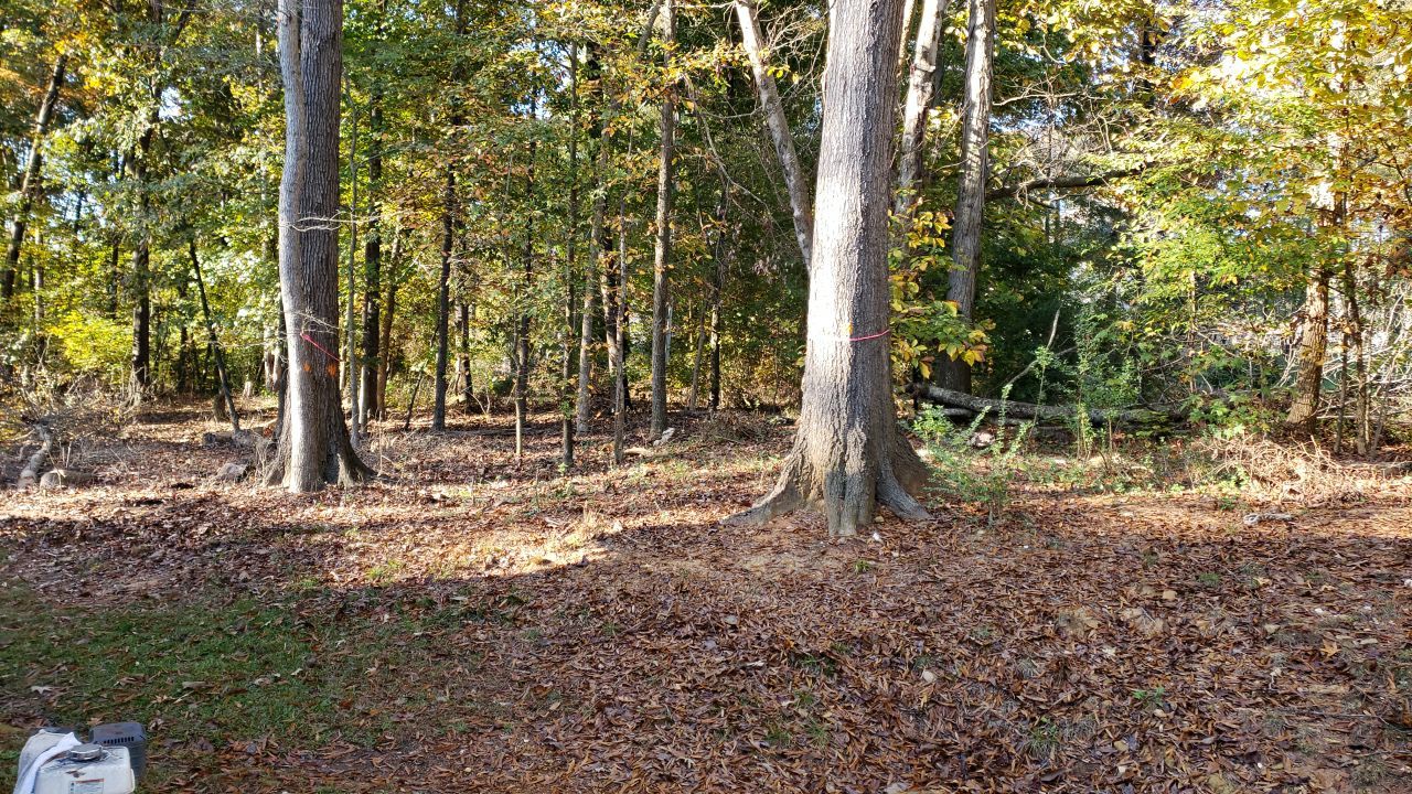 land clearing using machinery by Power Wash Masters LLC
