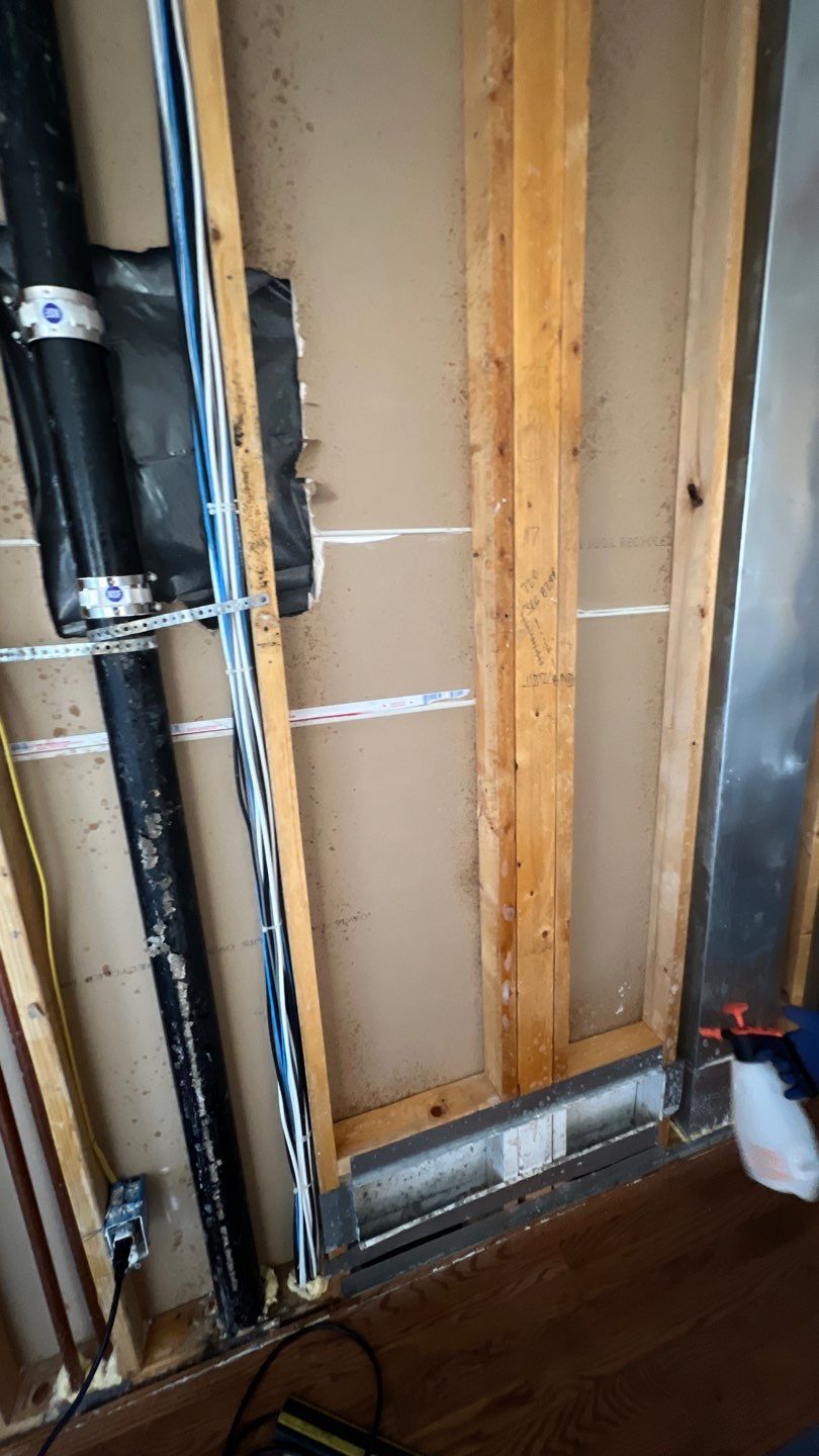 Mold Remediation by Accountable Home Services