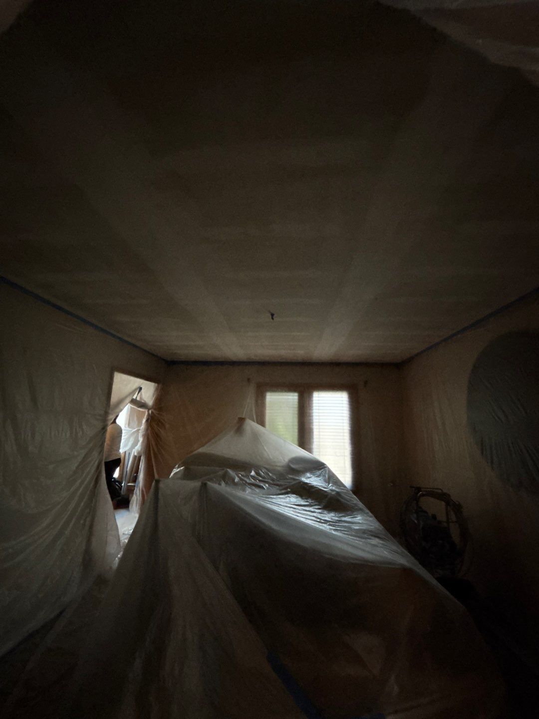 Level Up Your Ceiling: Texture Removal & Refinishing by Cougar Painting