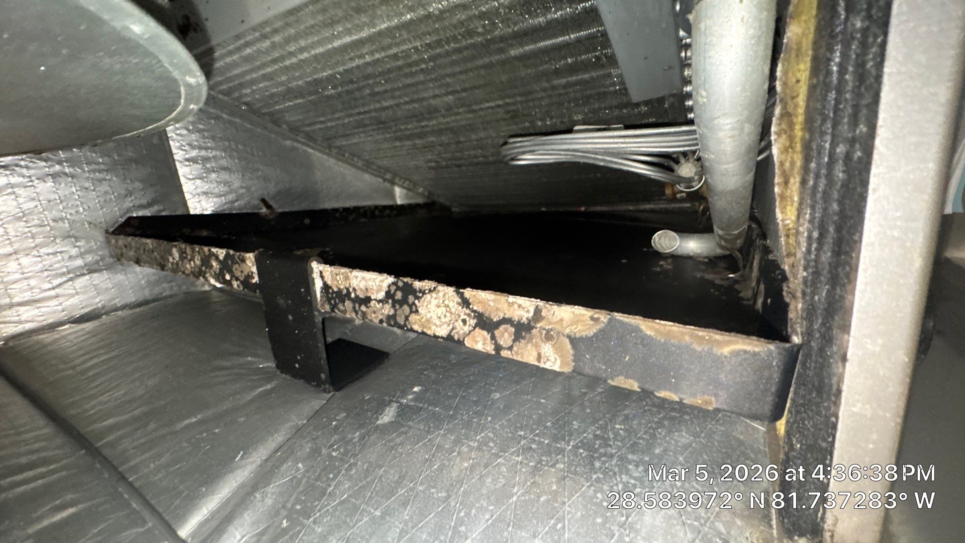 Air Duct Cleaning in Minneola by Hygienic Air, Inc