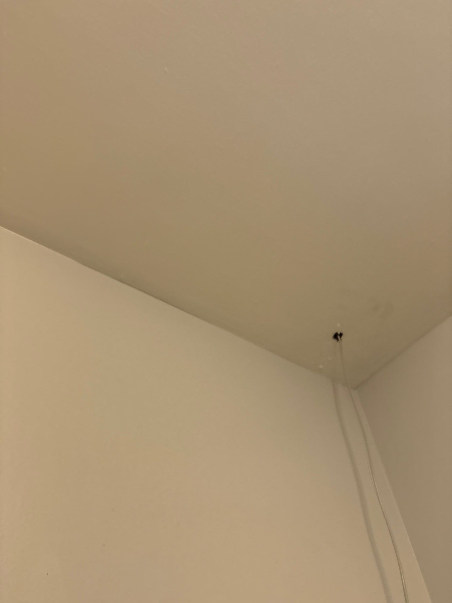 Residential Ceiling Lighting and Electrical Upgrades in Denver by CompanyCam Sales Demo