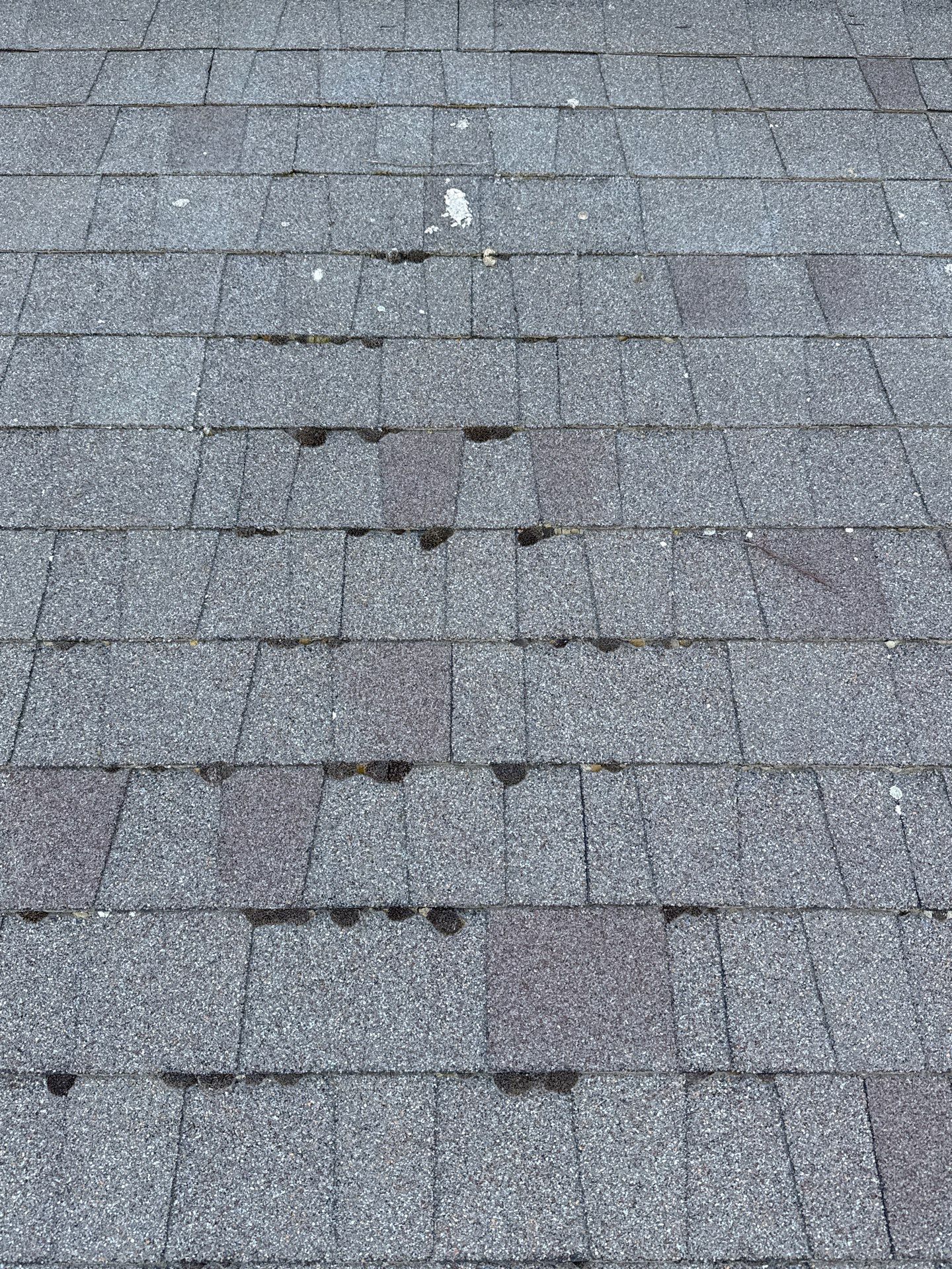 Complete Residential Roof Replacement with Architectural Shingles in Star by Olive Roofing