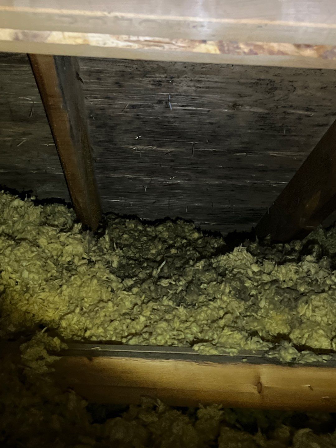 Residential Roofing Repair by Storm Guard of South Metro Denver