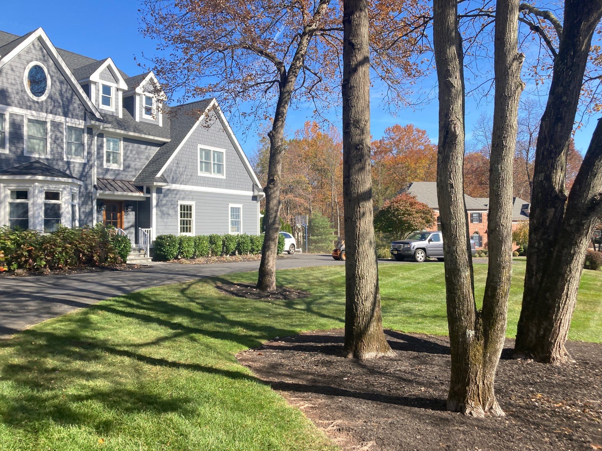 Comprehensive Lawn Care in Warren by Ants Plants