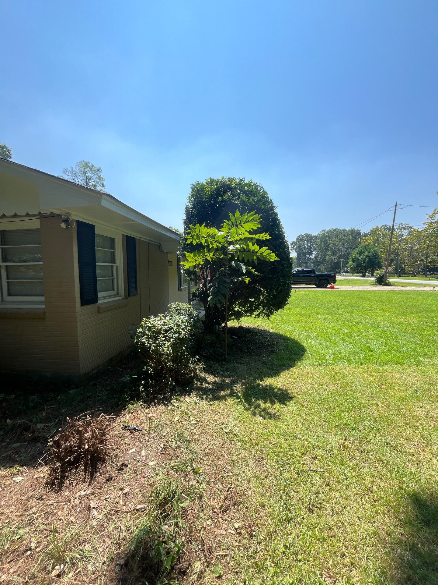 Yard Makeover by College Bros Outdoor services