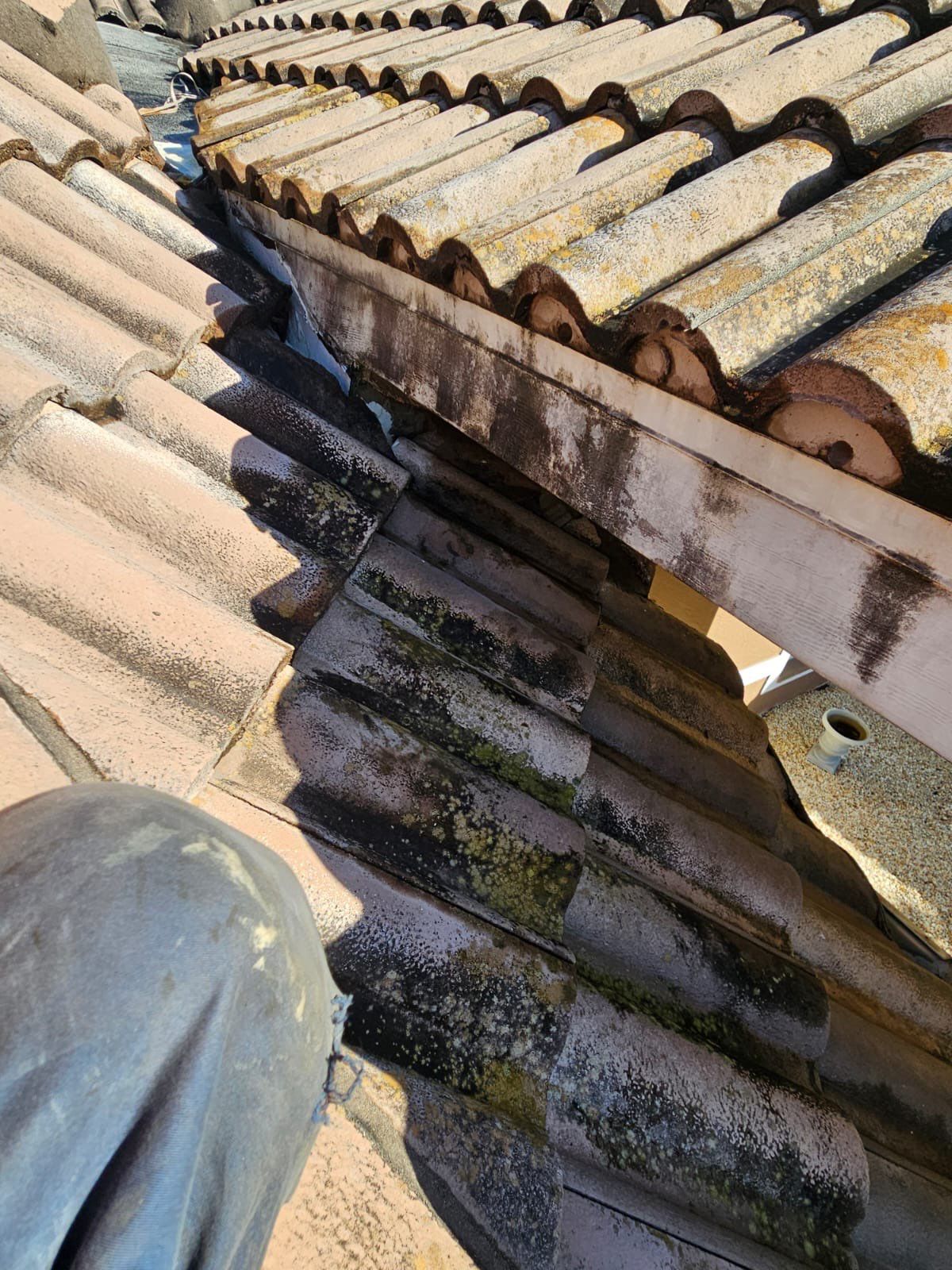 Residential Roofing Inspection  by Four Peaks Roofing