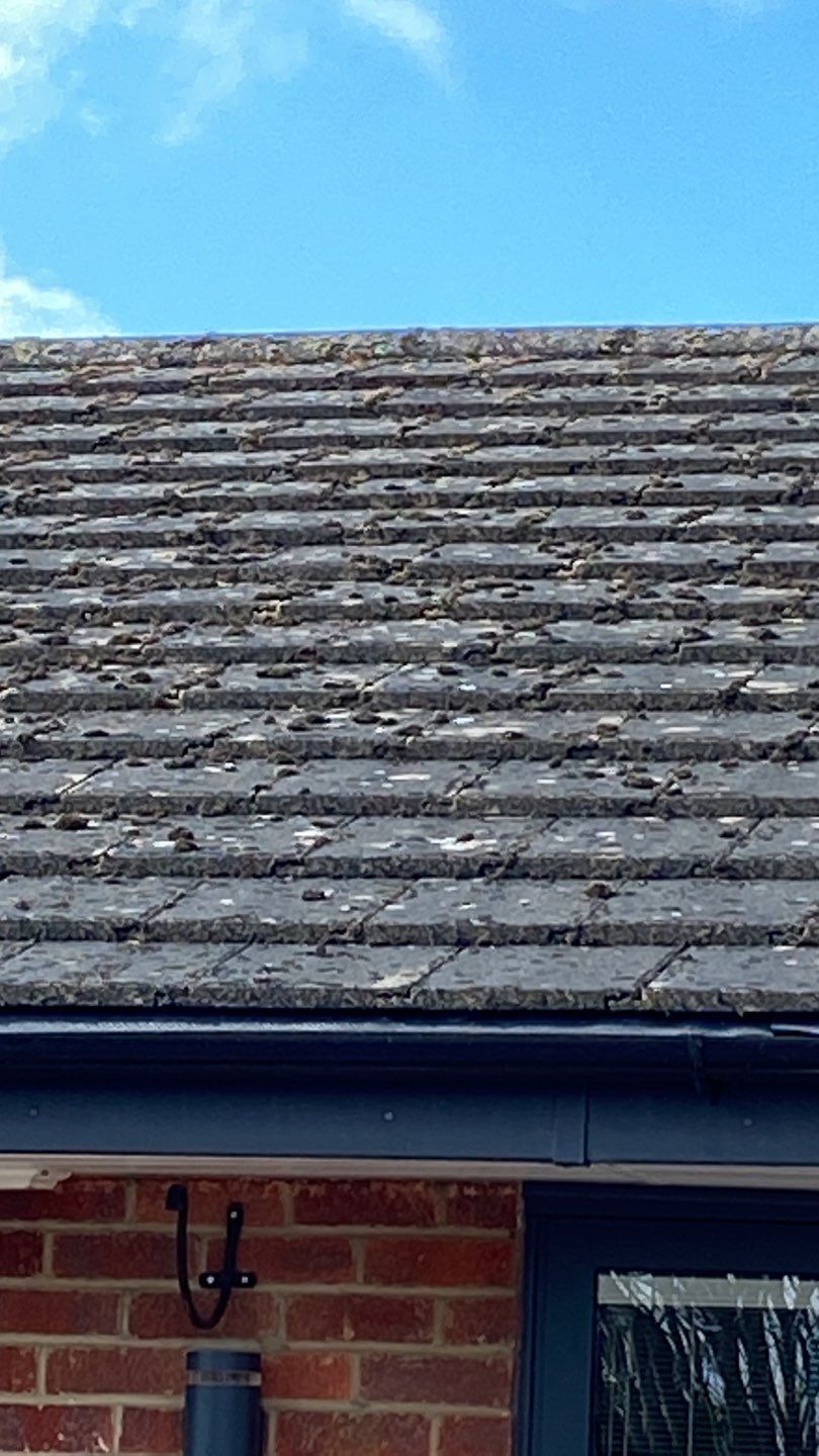 Roof Clean using Honda 15lpm Low Pressure Washing Machine by Ges Exterior Cleaning ltd