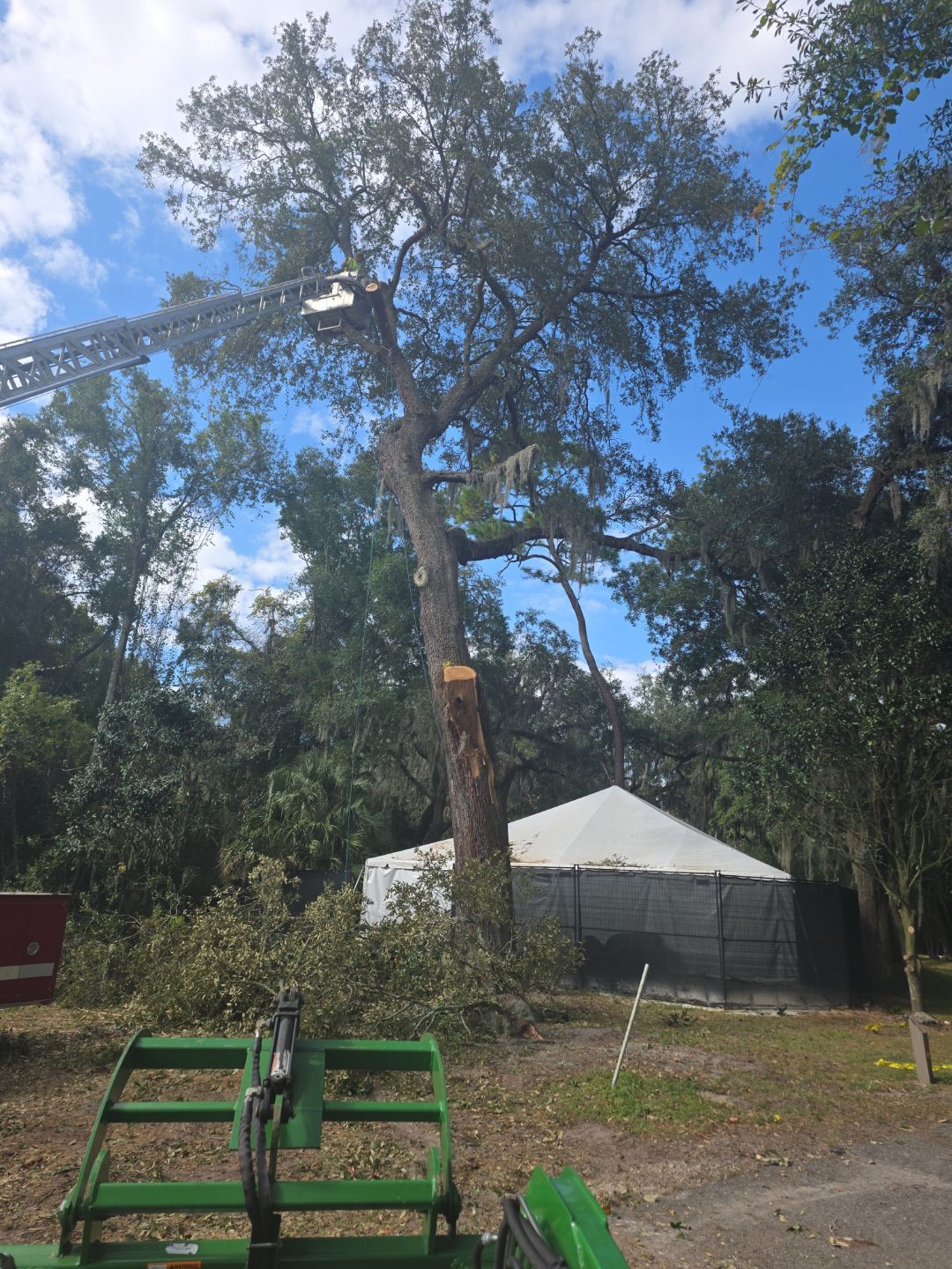 Episcopal | Large Tree Removal by ProGreen Services