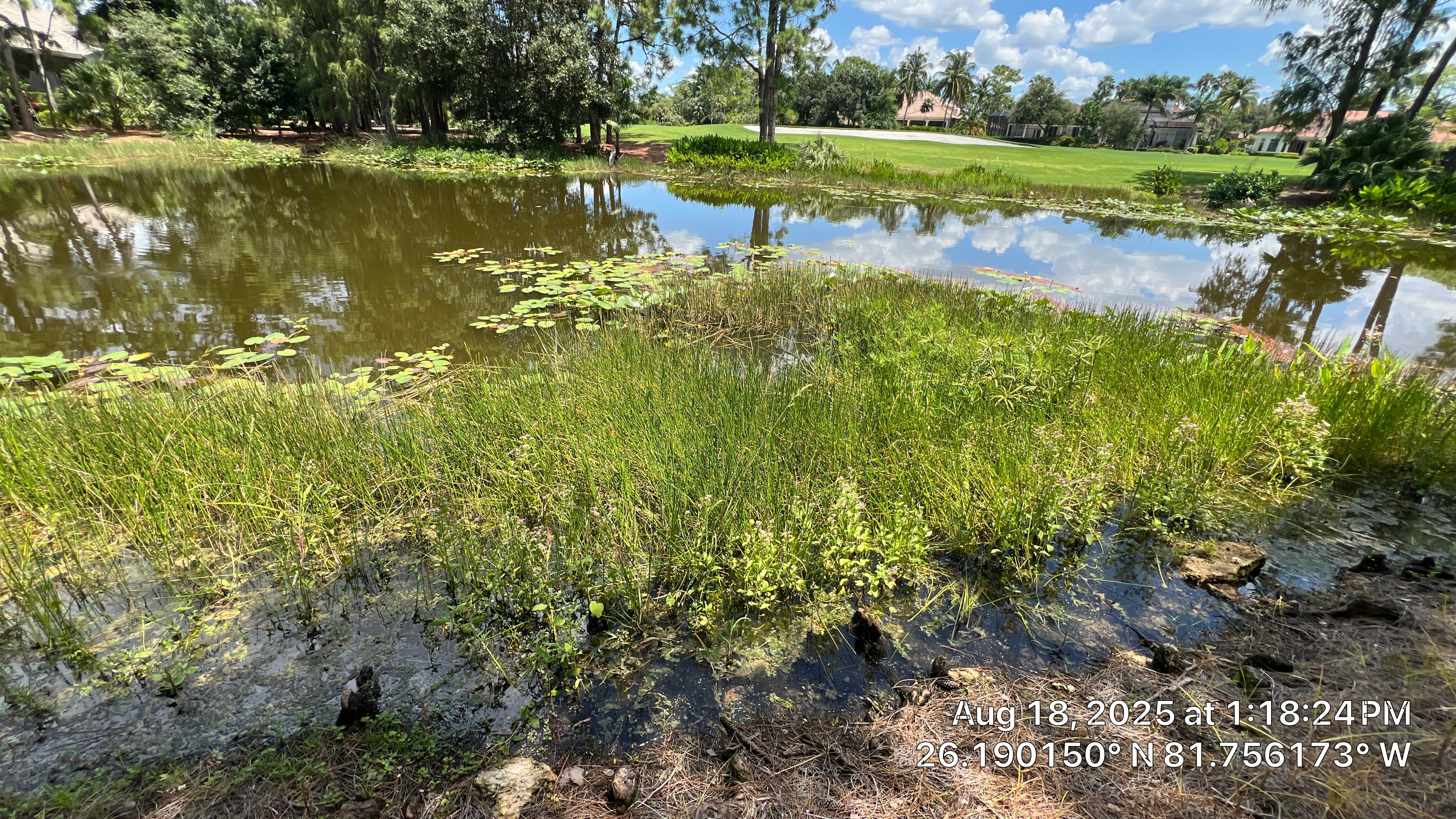 Naples Community Drainage Problems by Don Mar, Inc. Storm Water Solutions