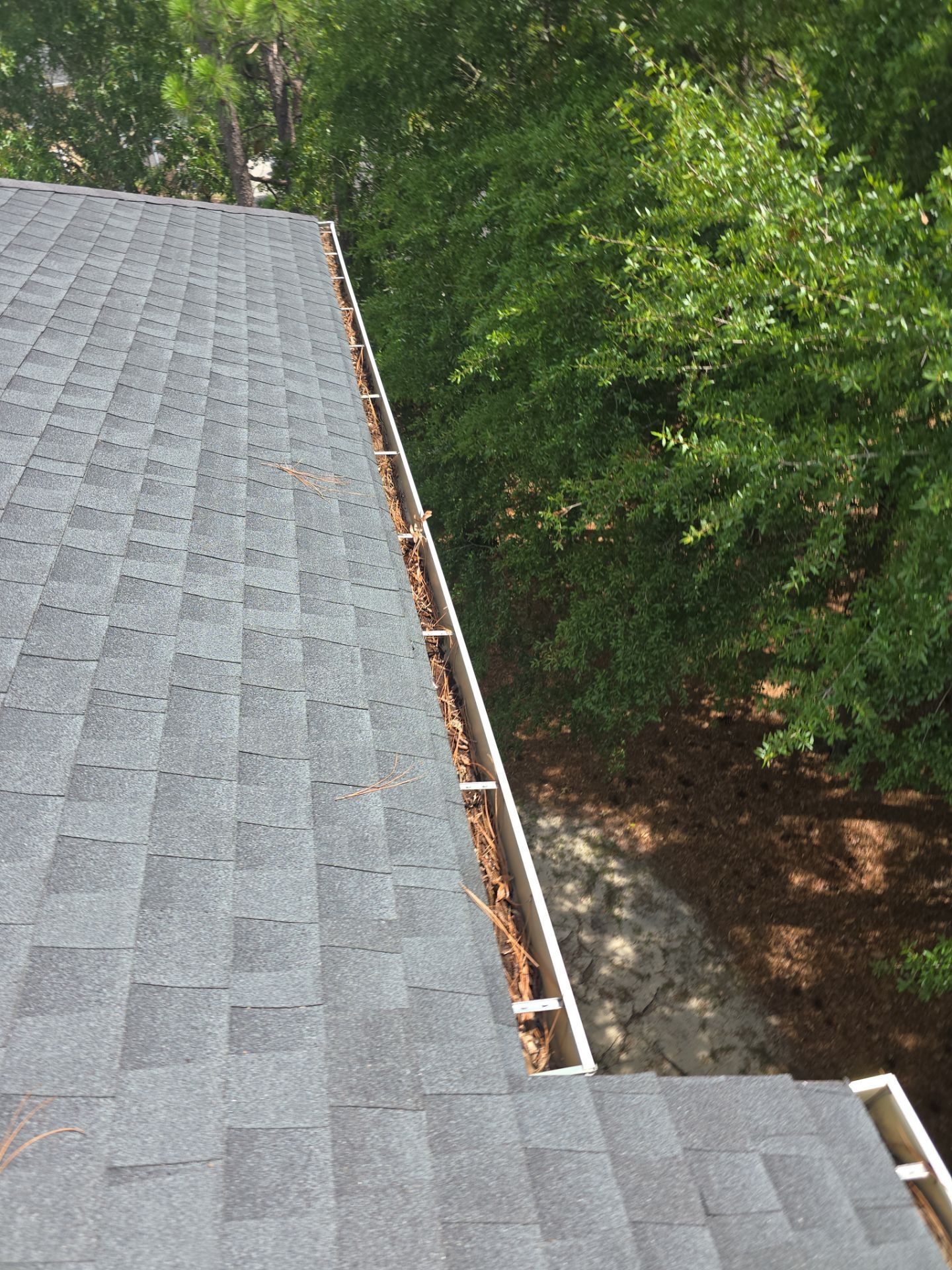 Commercial gutter cleaning Wilmington, NC before photo with filled gutters