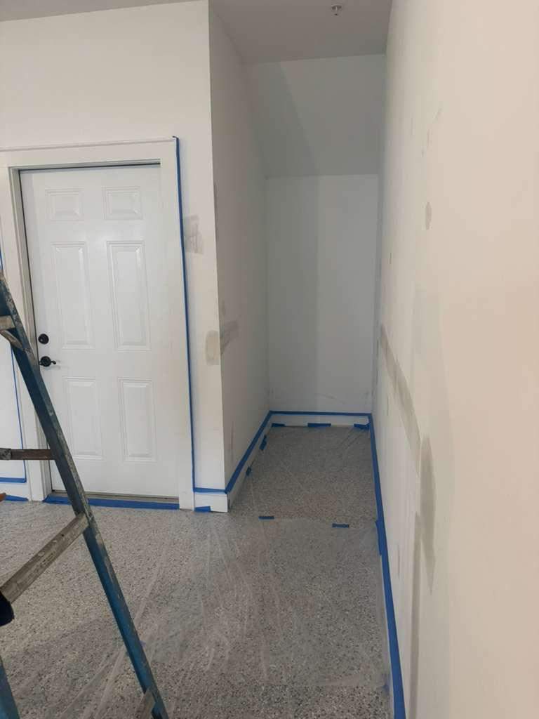 Mauritia's interior painting by Alpha and Omega Pro Services