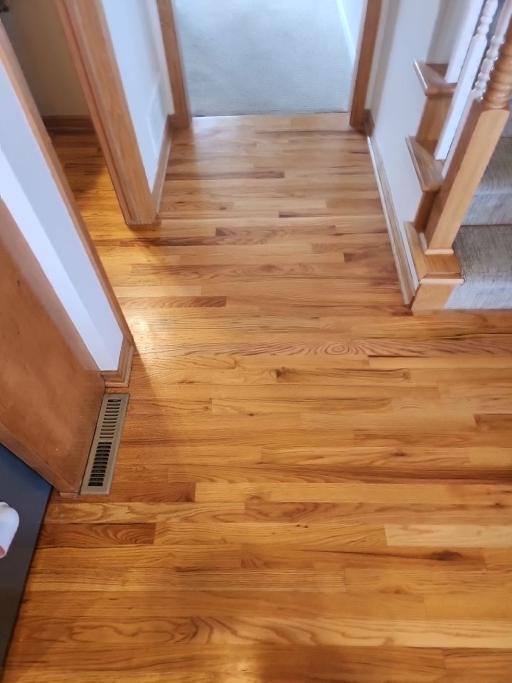 Abby Wenninghoff by FloorCo