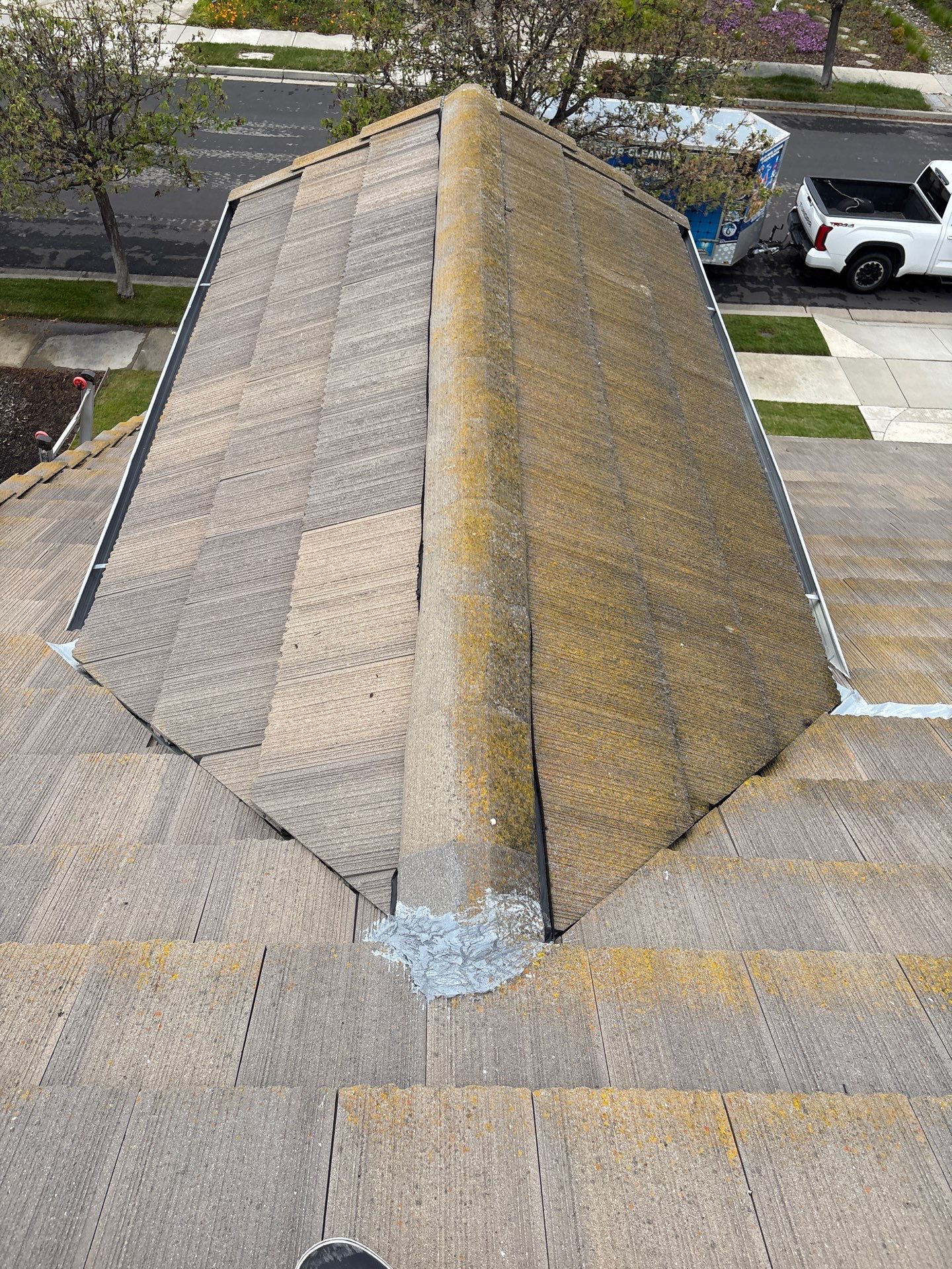 Moss Removal by Top Elevation