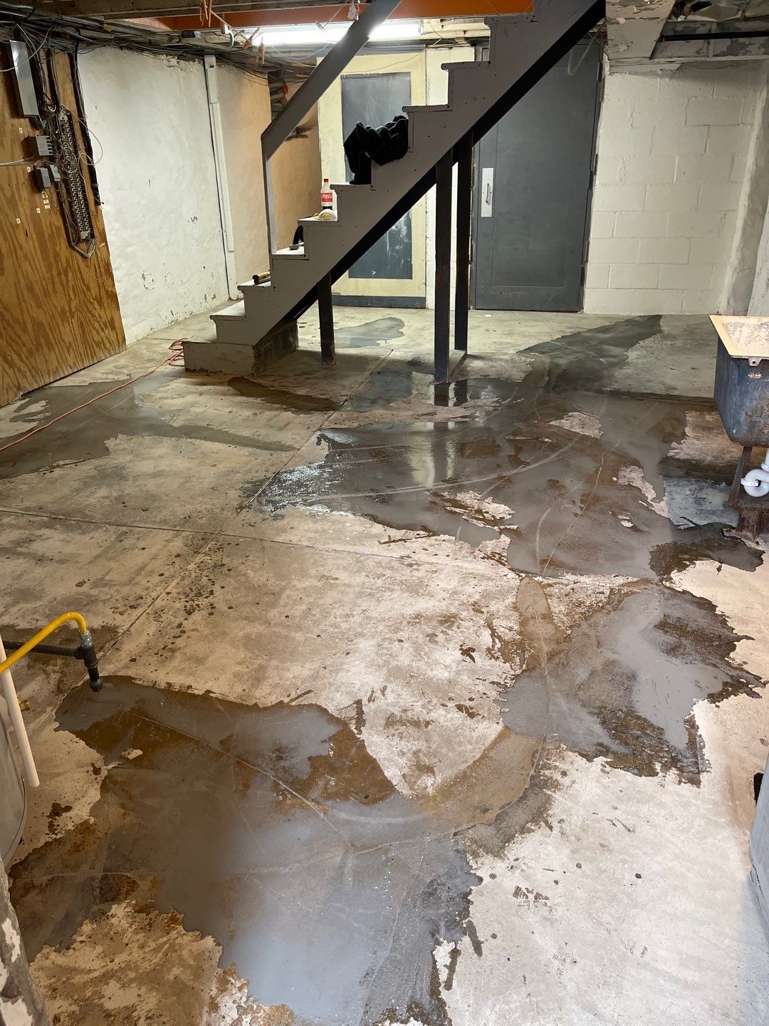 Cat Hospital Project in Pittsburgh by Floors in a Day, Inc