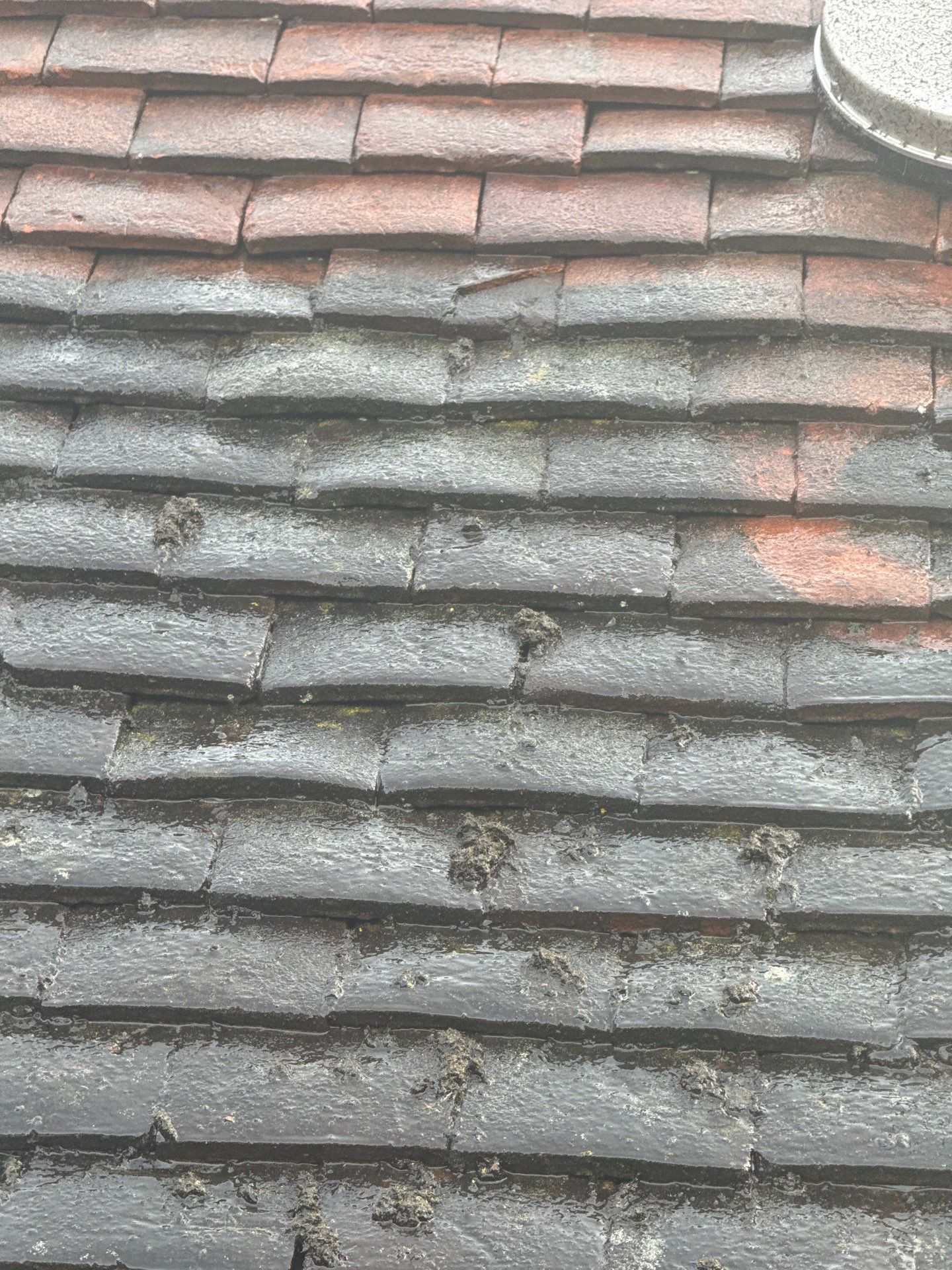 Exterior Clean - Roof - Patio - Driveway using Mosmatic FSC and Biocide by Ges Exterior Cleaning ltd