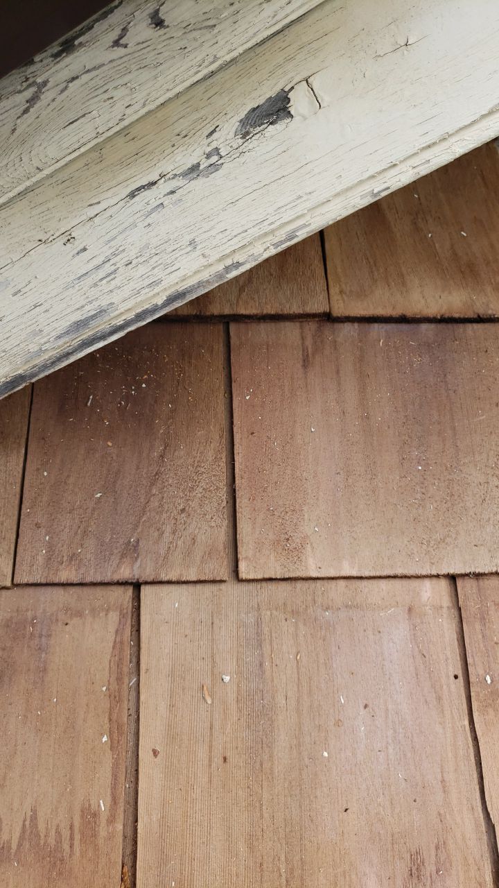 Gainesville Historic Structure: Western Red Cedar #1 Perfection G&R CCA Cedar Shakes by RM Banning, Inc.