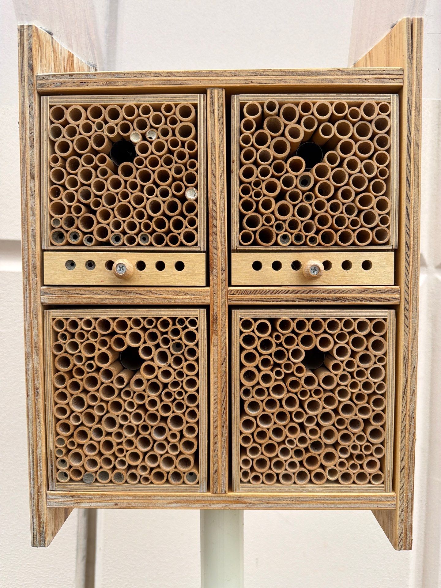 Commercial Rooftop Colony by Rockwall Honey Bee Company