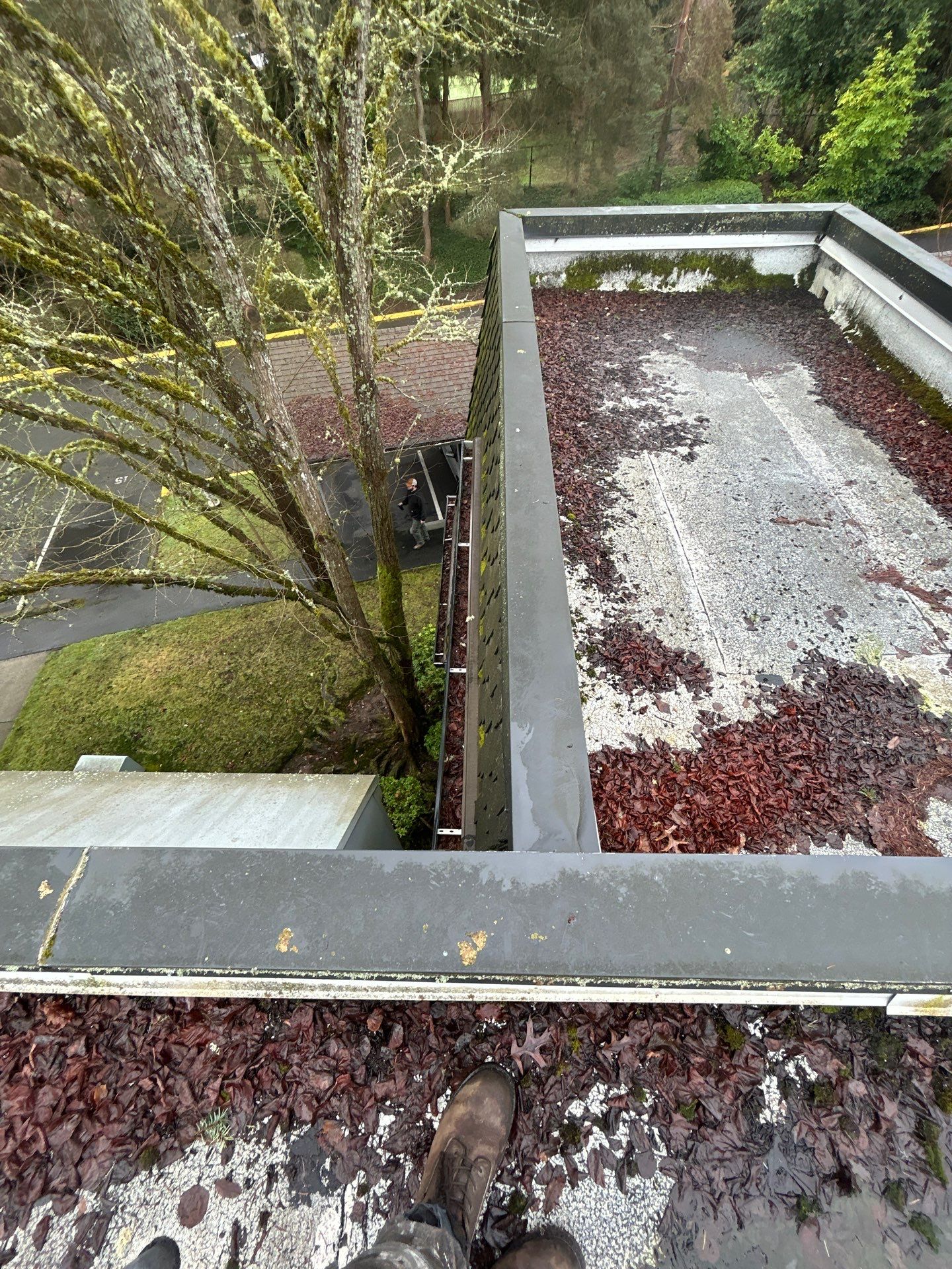 Project in Kirkland by Connolly Construction Company