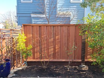 Board on Board Fence