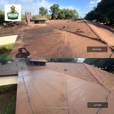 Shingle Roof Cleaning & Roof Debris Removal