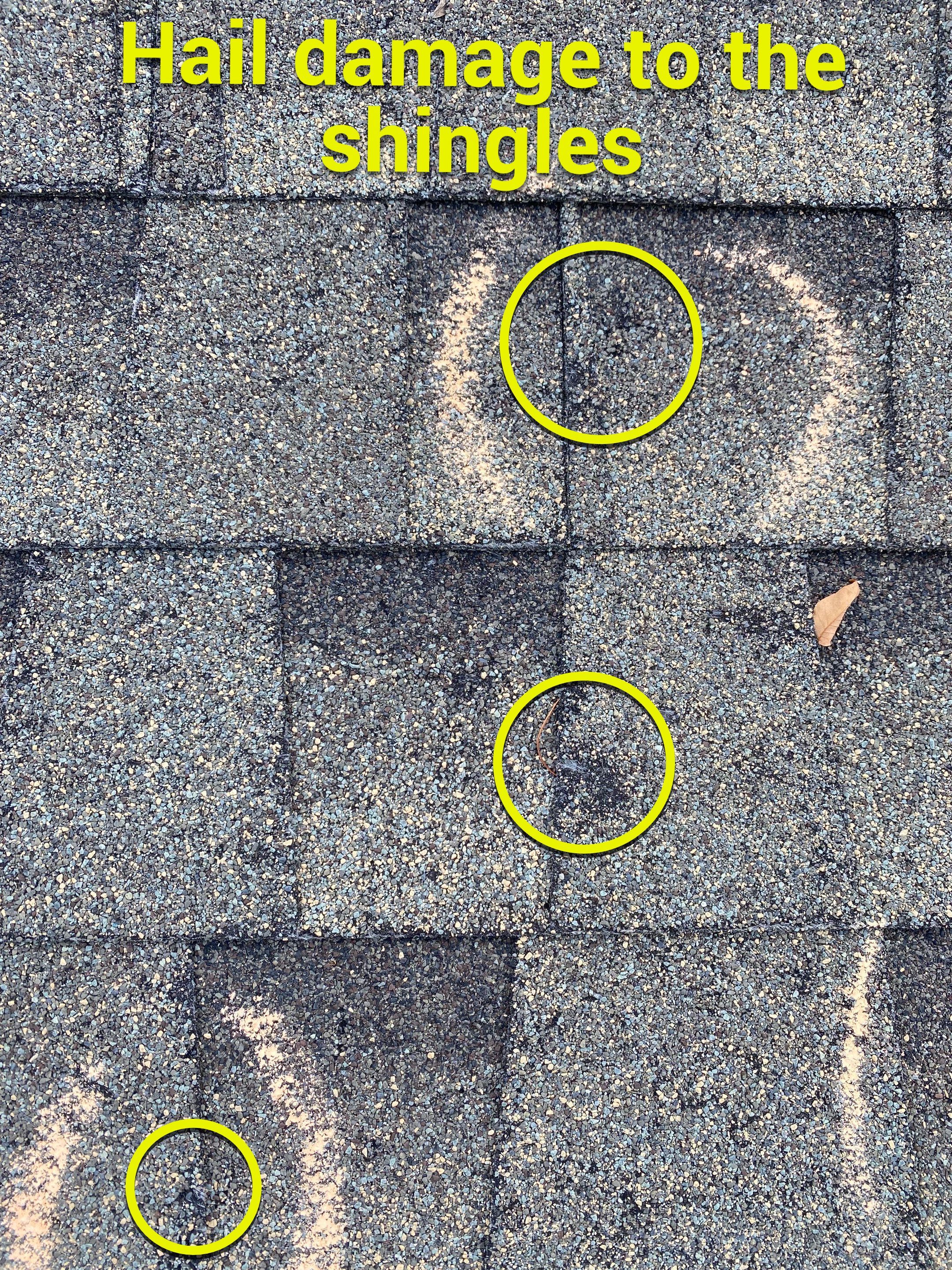 Resdiental Hail Damage Roof Replacement  using Certainteed Northgate Class 4 Impact Resistant "Weathered Wood" color by Black Belt Roofing 