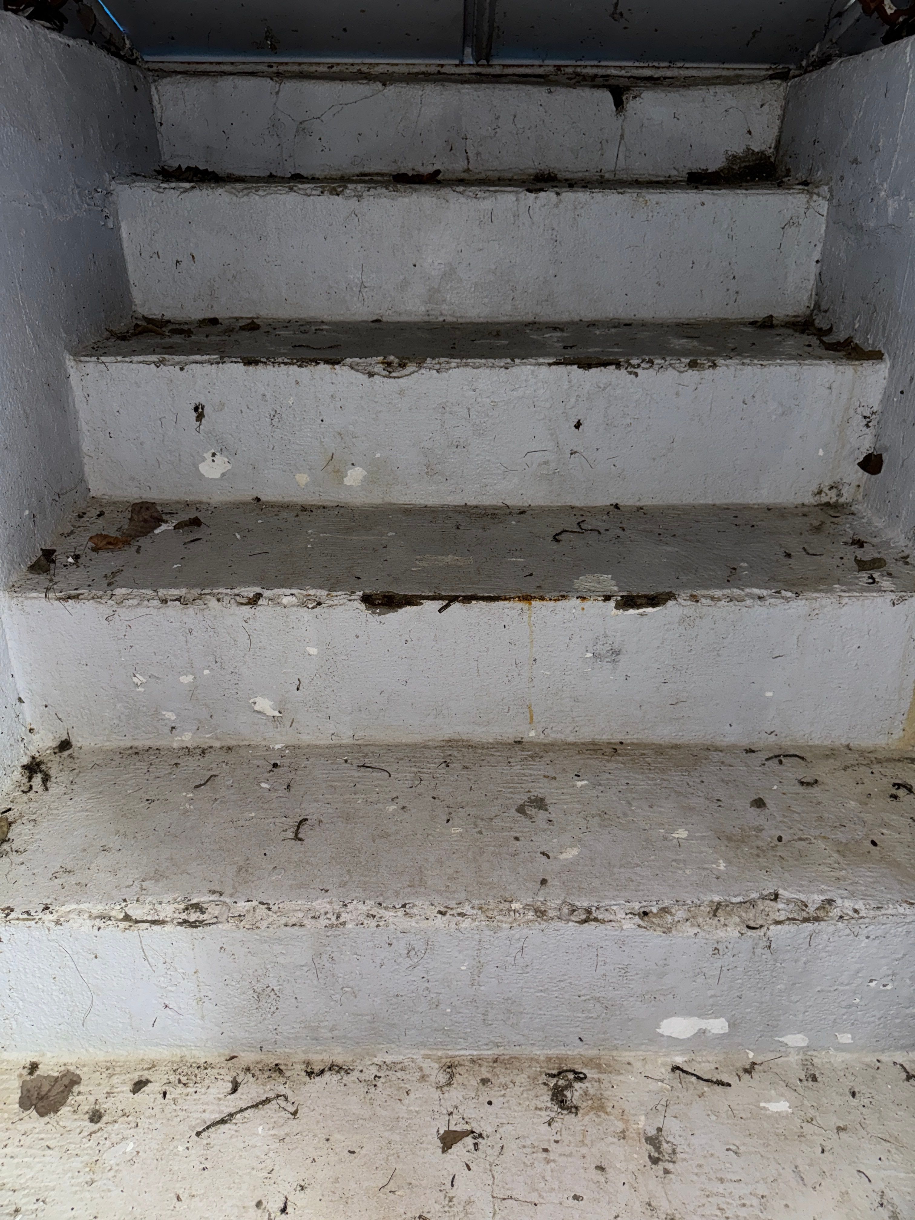 Interior French Drain Boonton NJ by Pure Service Pro, LLC 