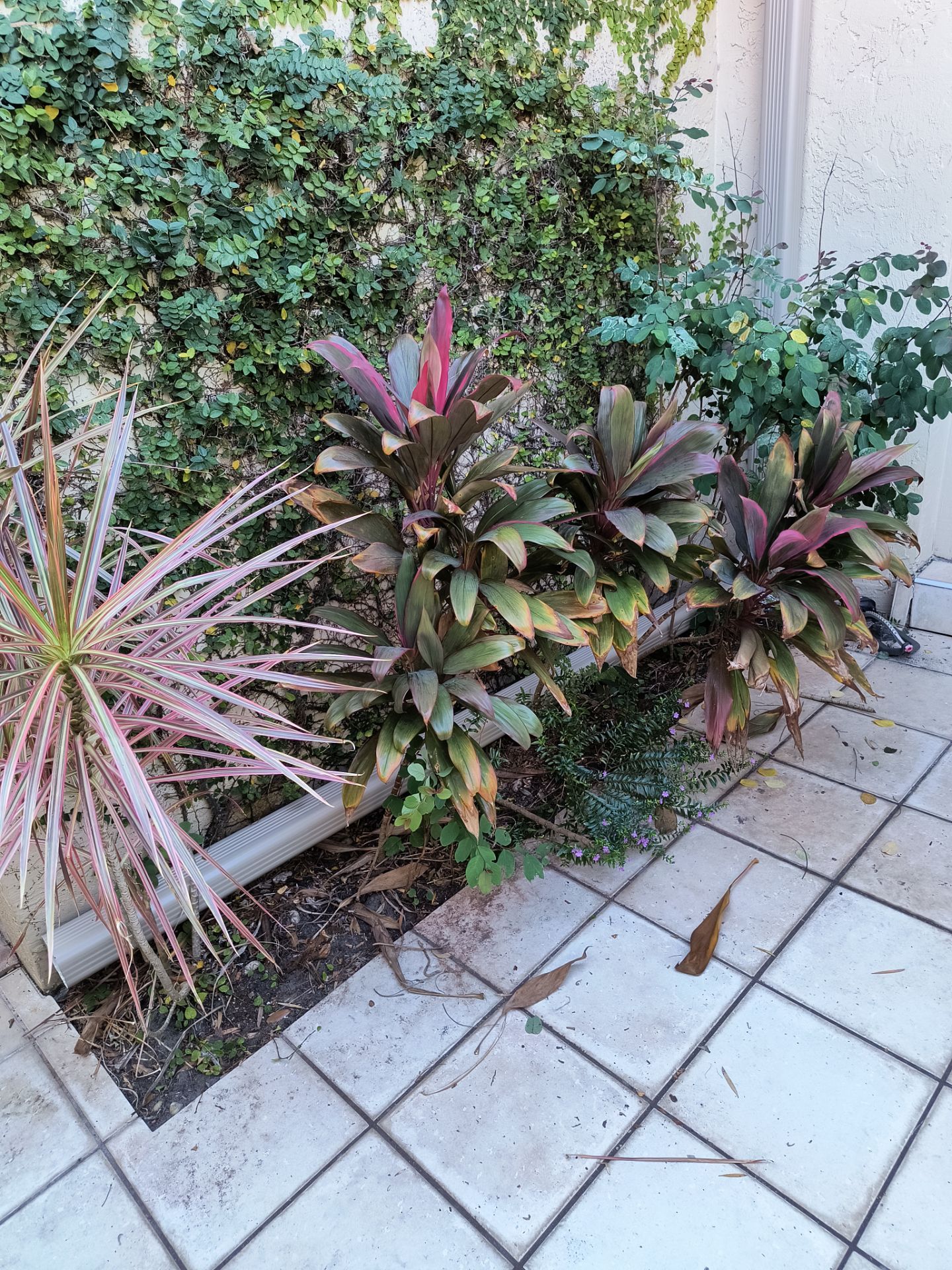 Seamless Gutter Installation in Sarasota FL by Gutter Professors