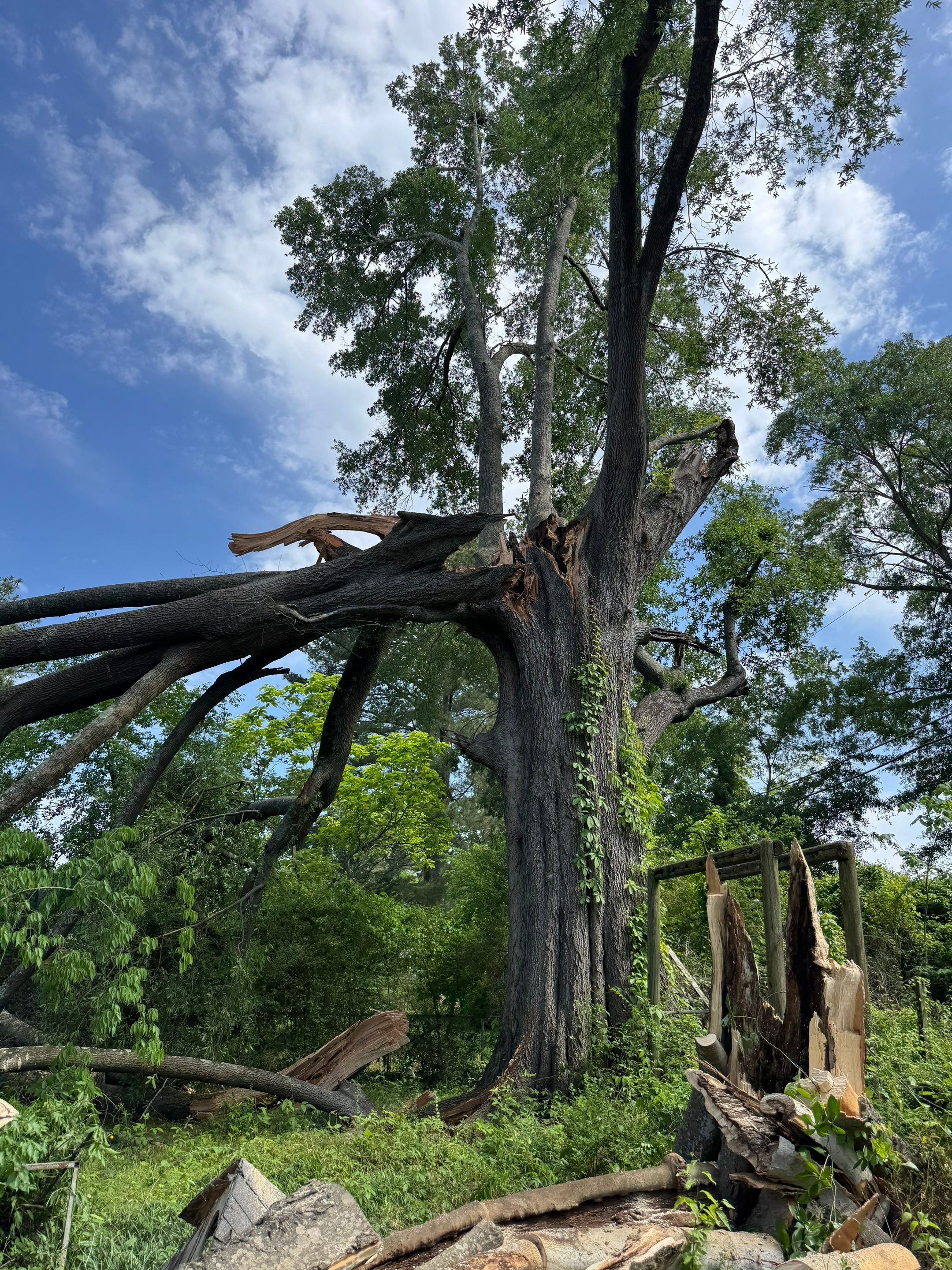 Disaster Relief Using 100-Ton Crane and DinoLift by American Arbor