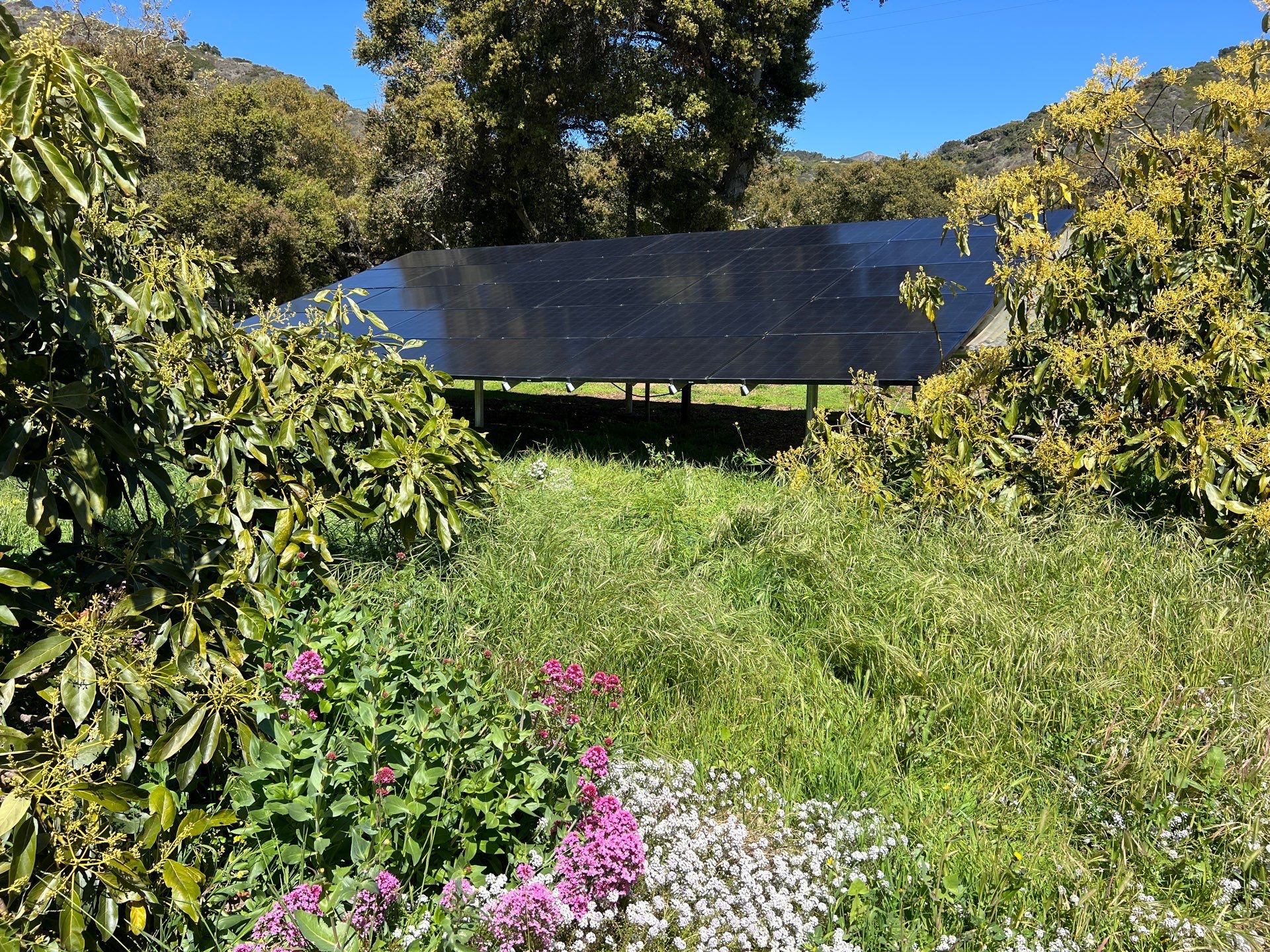 Groundmount Solar Cleaning