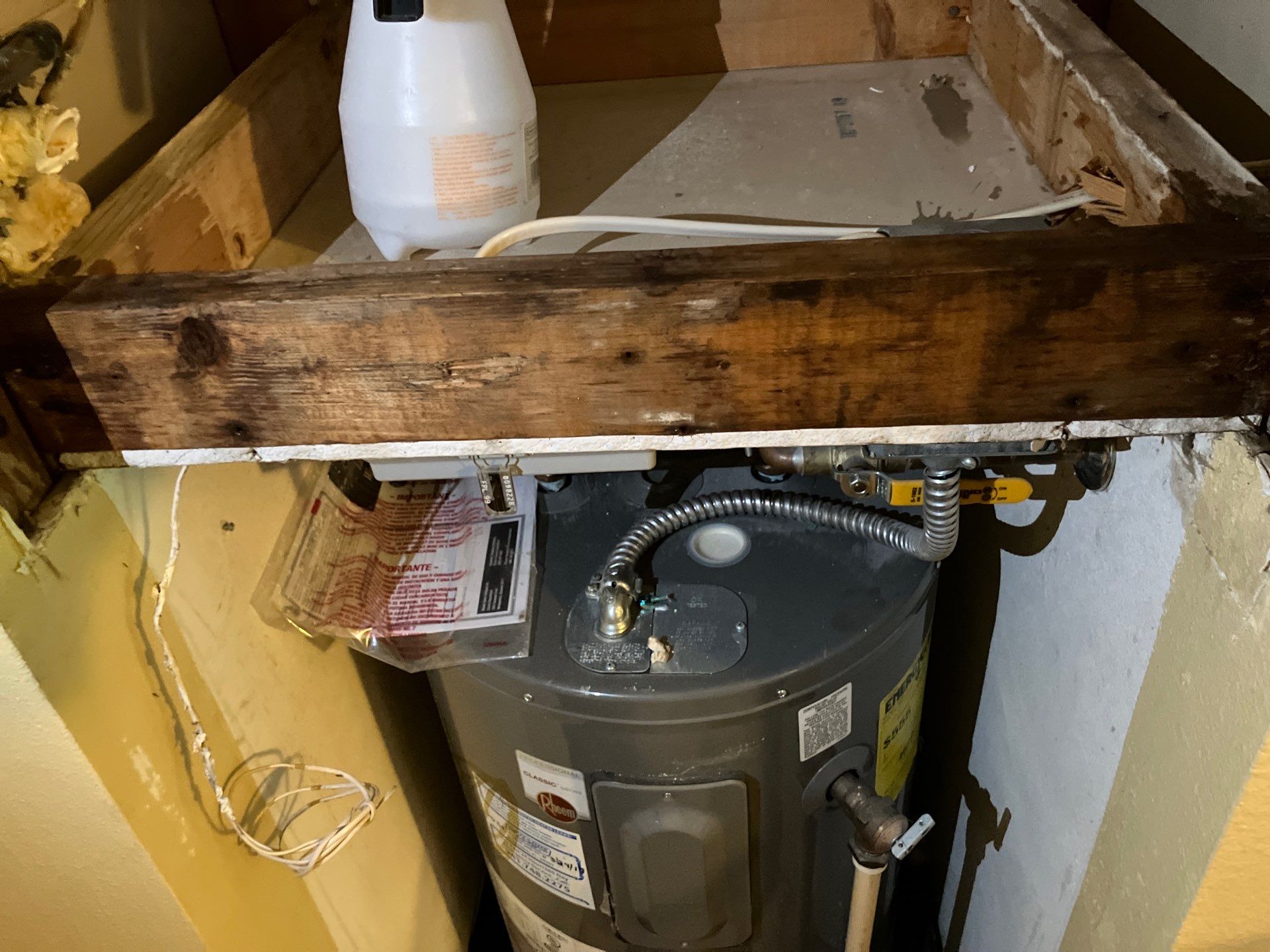 Bradenton Mold Remediation by Ampm Restoration Services