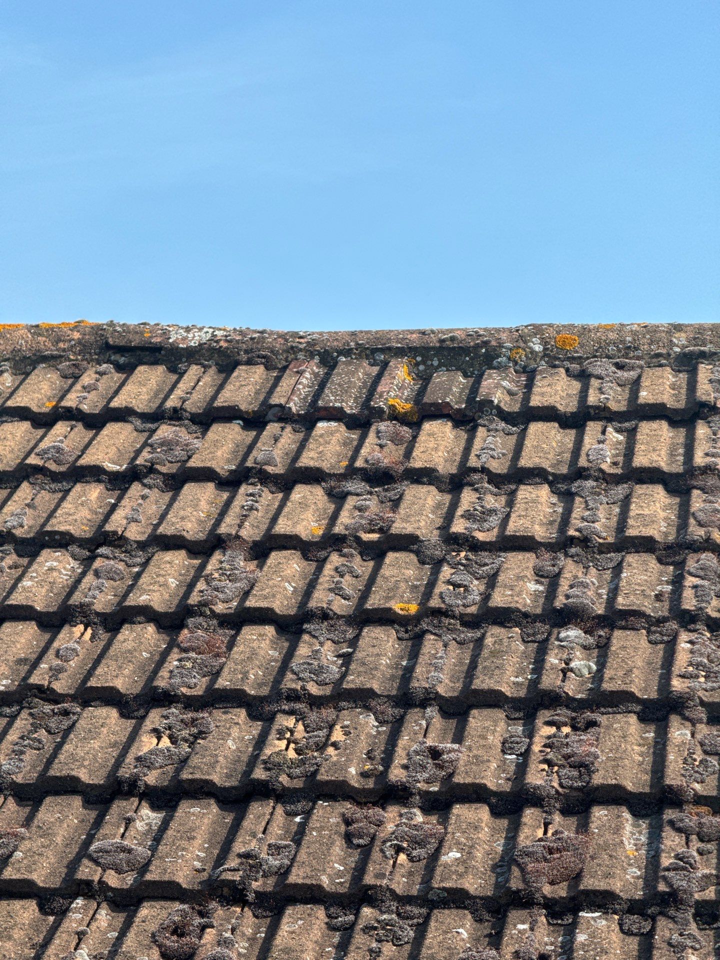 Roof Clean - Biocide Treatment using Honda 15lpm Low Pressure Washing Machine by Ges Exterior Cleaning ltd
