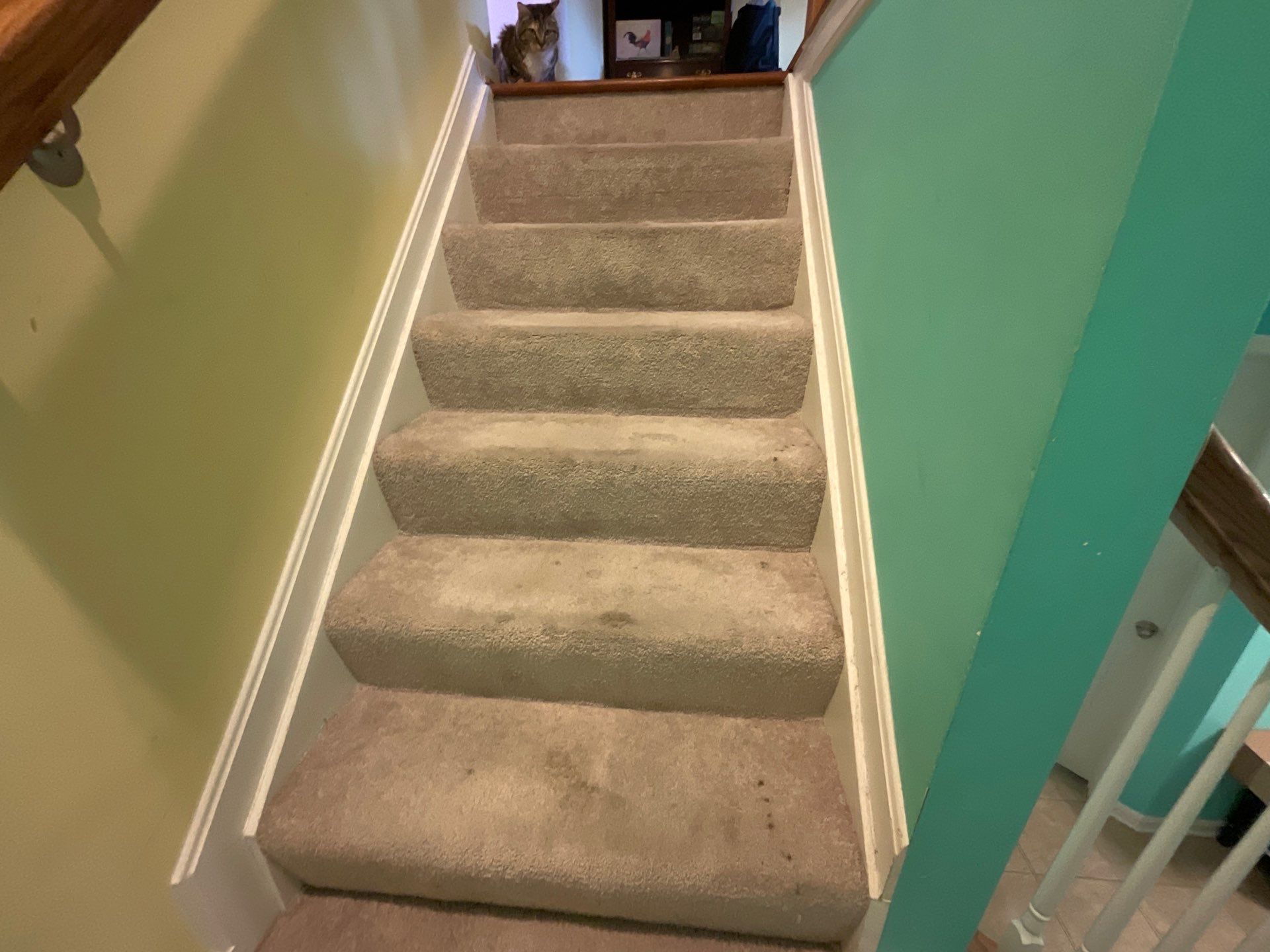 Deck Repair, New steps, New Paint job  by Alpha Design Services