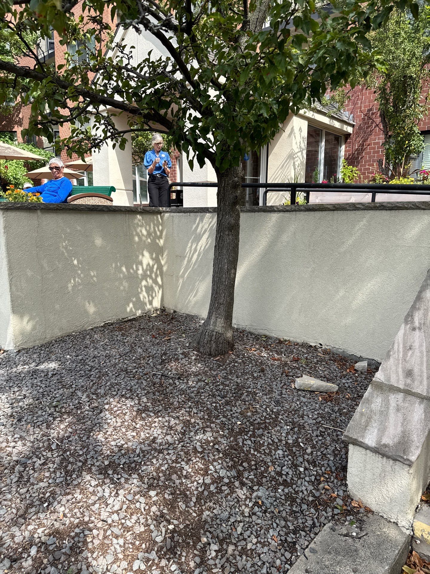 Project in Quincy by Crush Development Services LLC