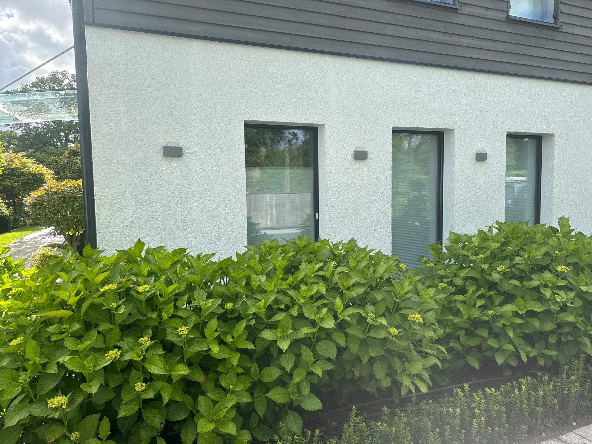 Render Clean using Pureseal Biocide - Solar Panel Clean by Ges Exterior Cleaning ltd