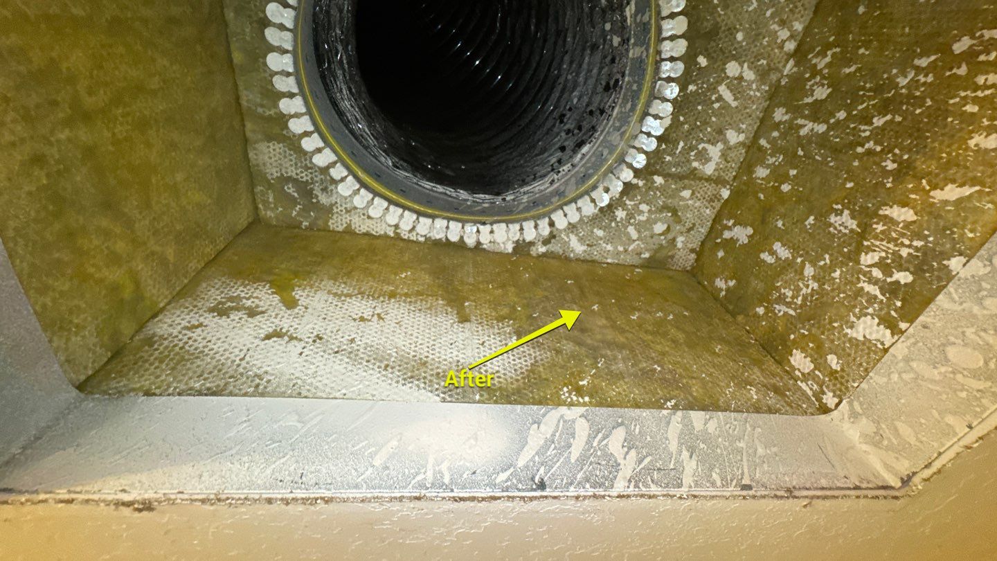 Air Duct Cleaning in St. Cloud by Hygienic Air, Inc
