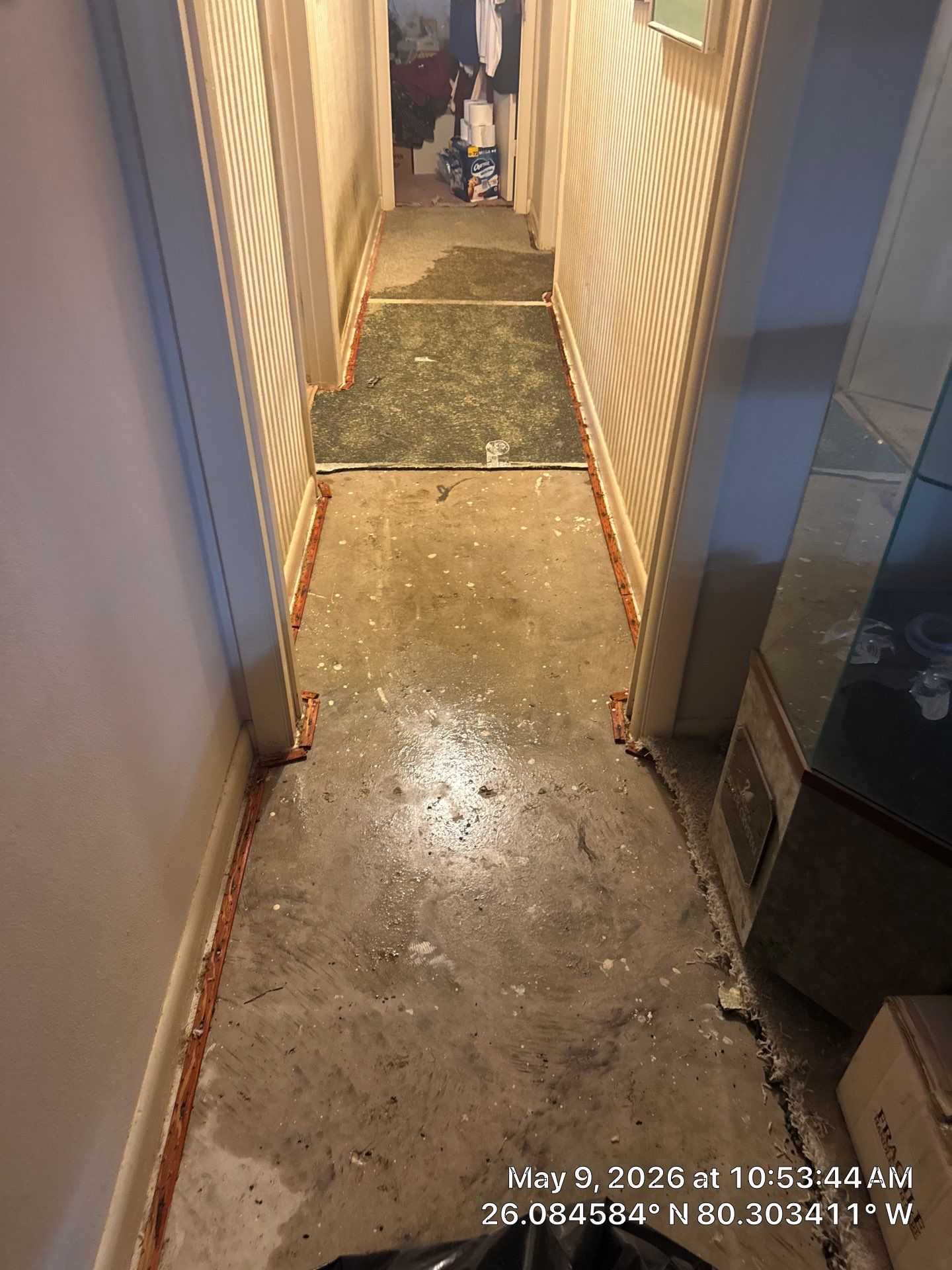 Water Damage Restoration and Structural Drying Services in Davie by SuperClean 