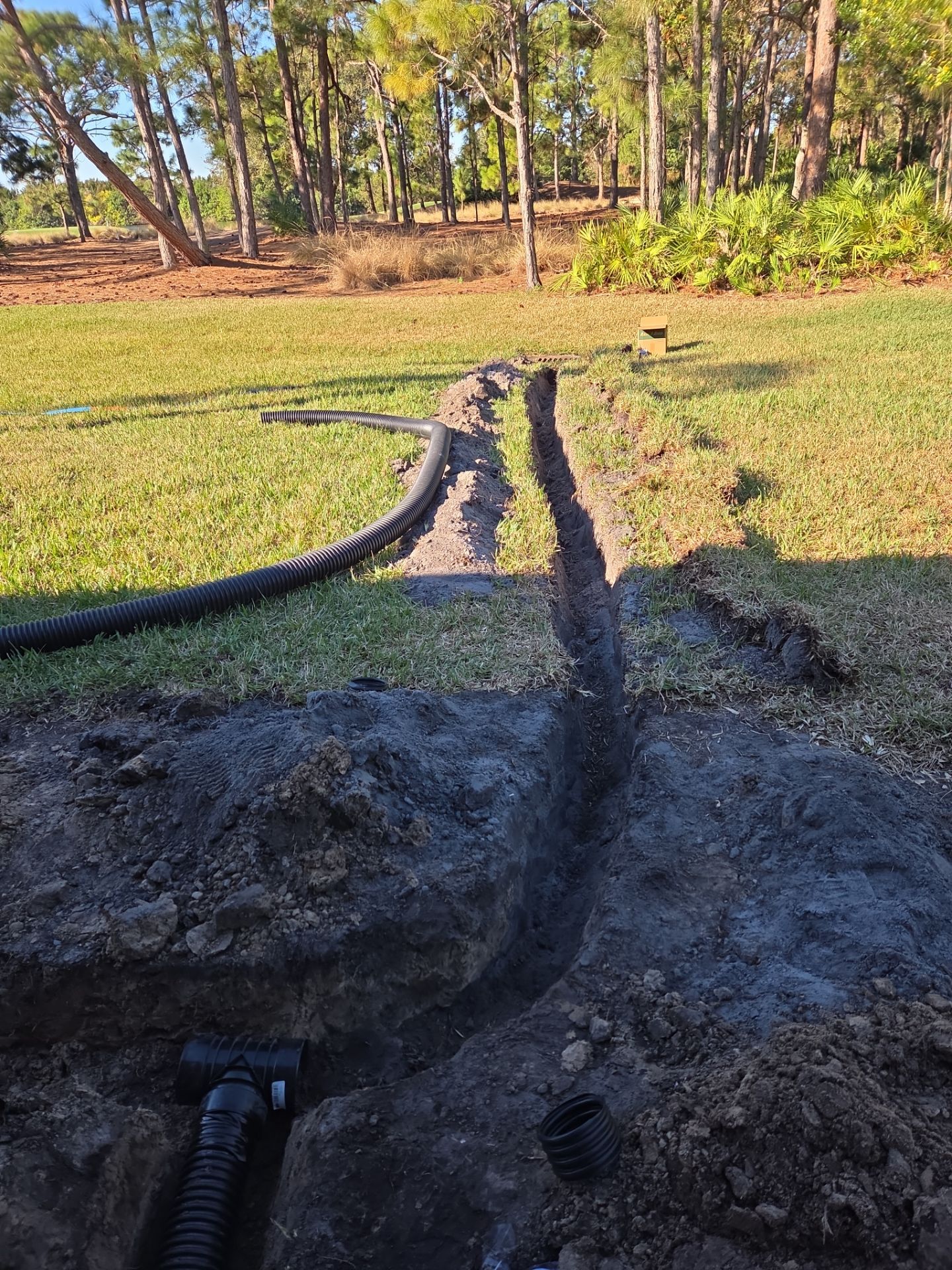 Harbour Ridge Backyard Revival by Alpha Zeta Enterprises Inc