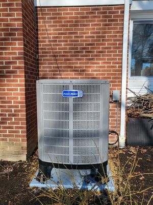 American Standard Dual Fuel System