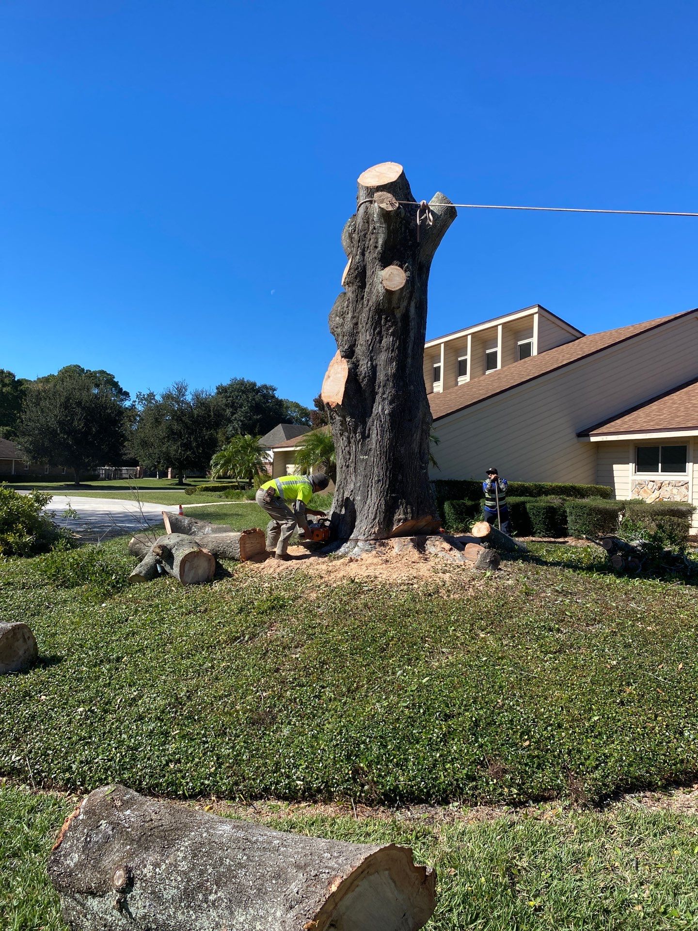Deerwood Resident | Tree Removal & Stump Grinding by ProGreen Services