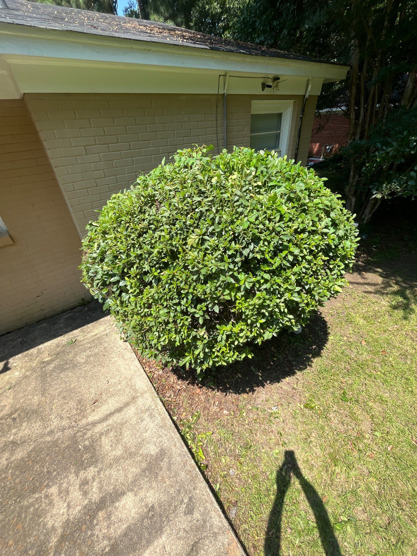 Yard Makeover by College Bros Outdoor services