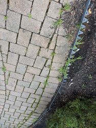 Gutter Cleaning in Washington, NJ — Gallo Bros job photo