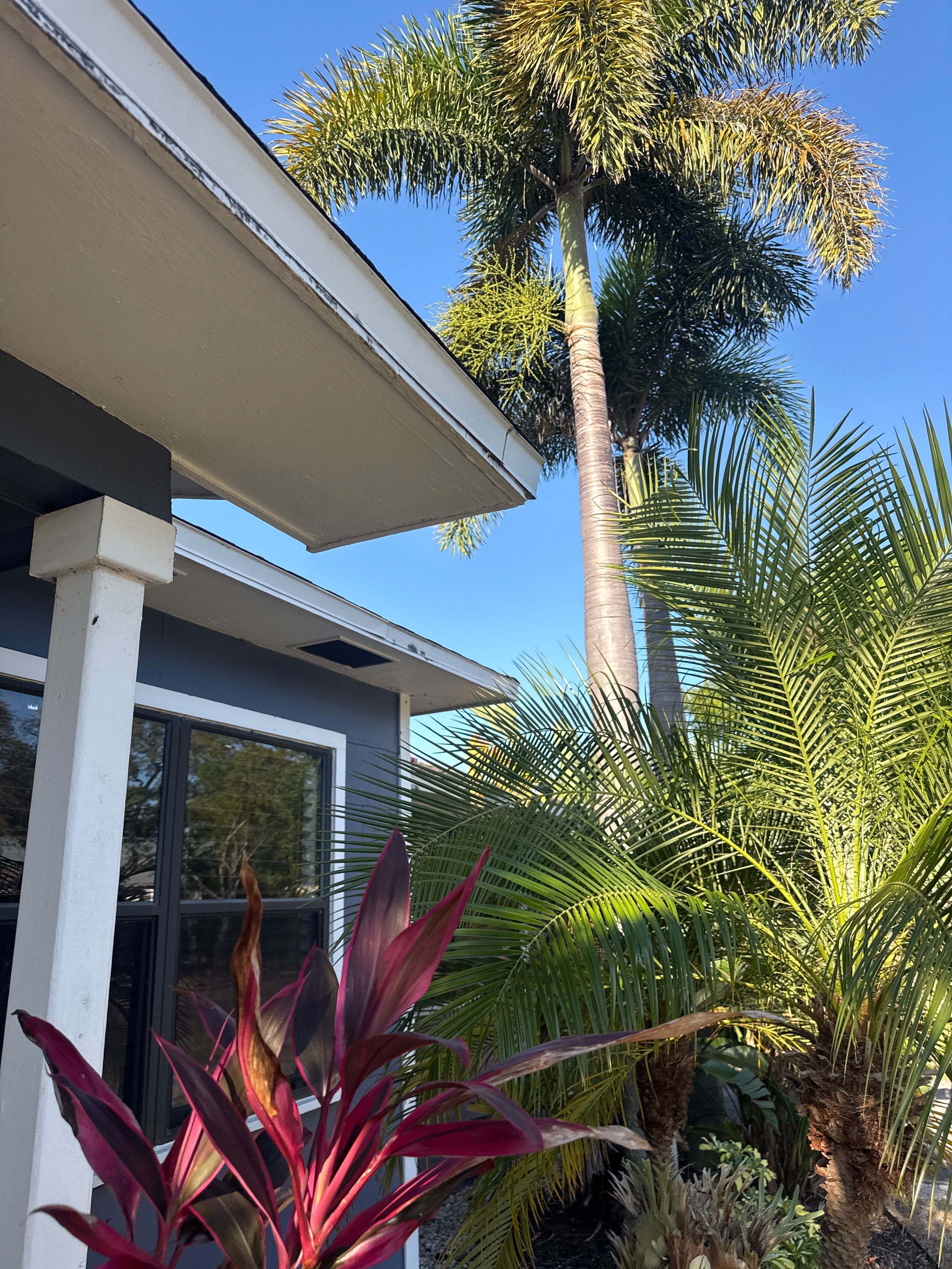 Project in St. Petersburg 33713 by Mitchell Roofing Company LLC 