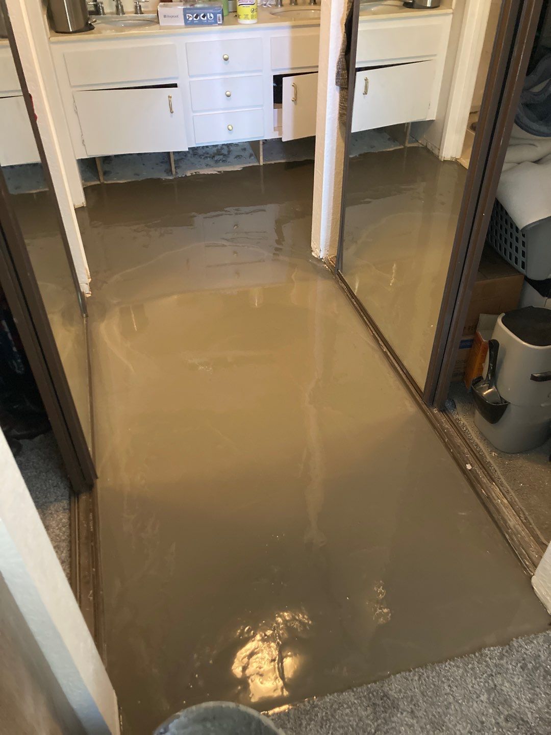 Replace Carpet with LVP by Andre Handyman