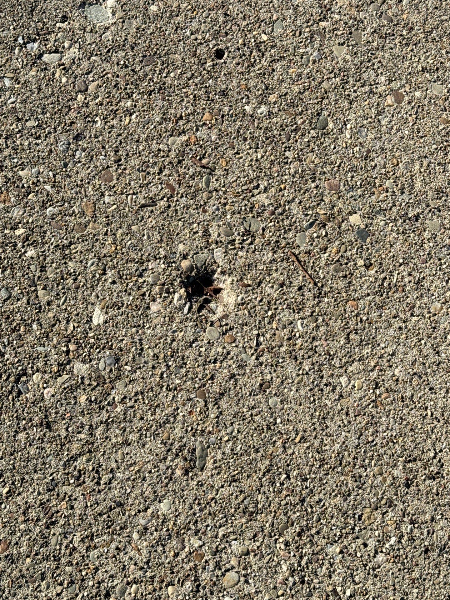 Twilight Driveway Project in Bridgeville by Floors in a Day, Inc