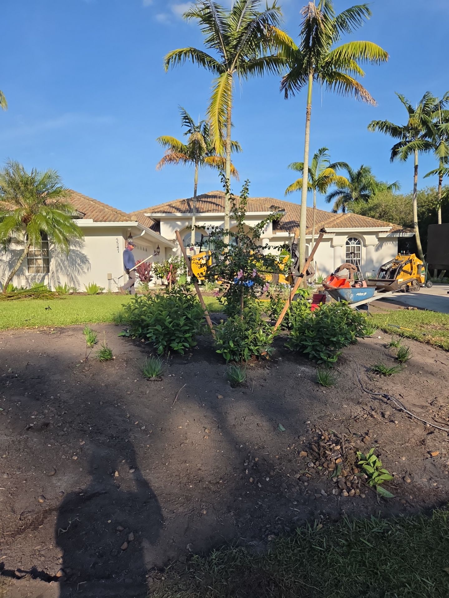 🌴 Landscape Removal and Install in Palm City by Alpha Zeta Enterprises Inc