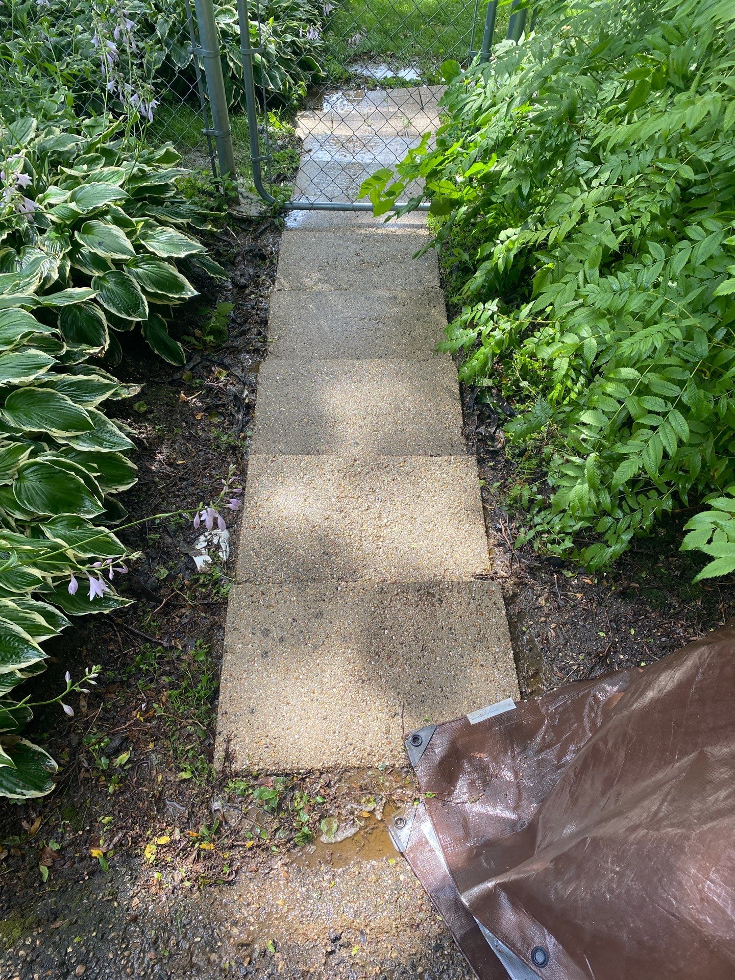 Wood and path clean by Shulla Exterior Cleaning