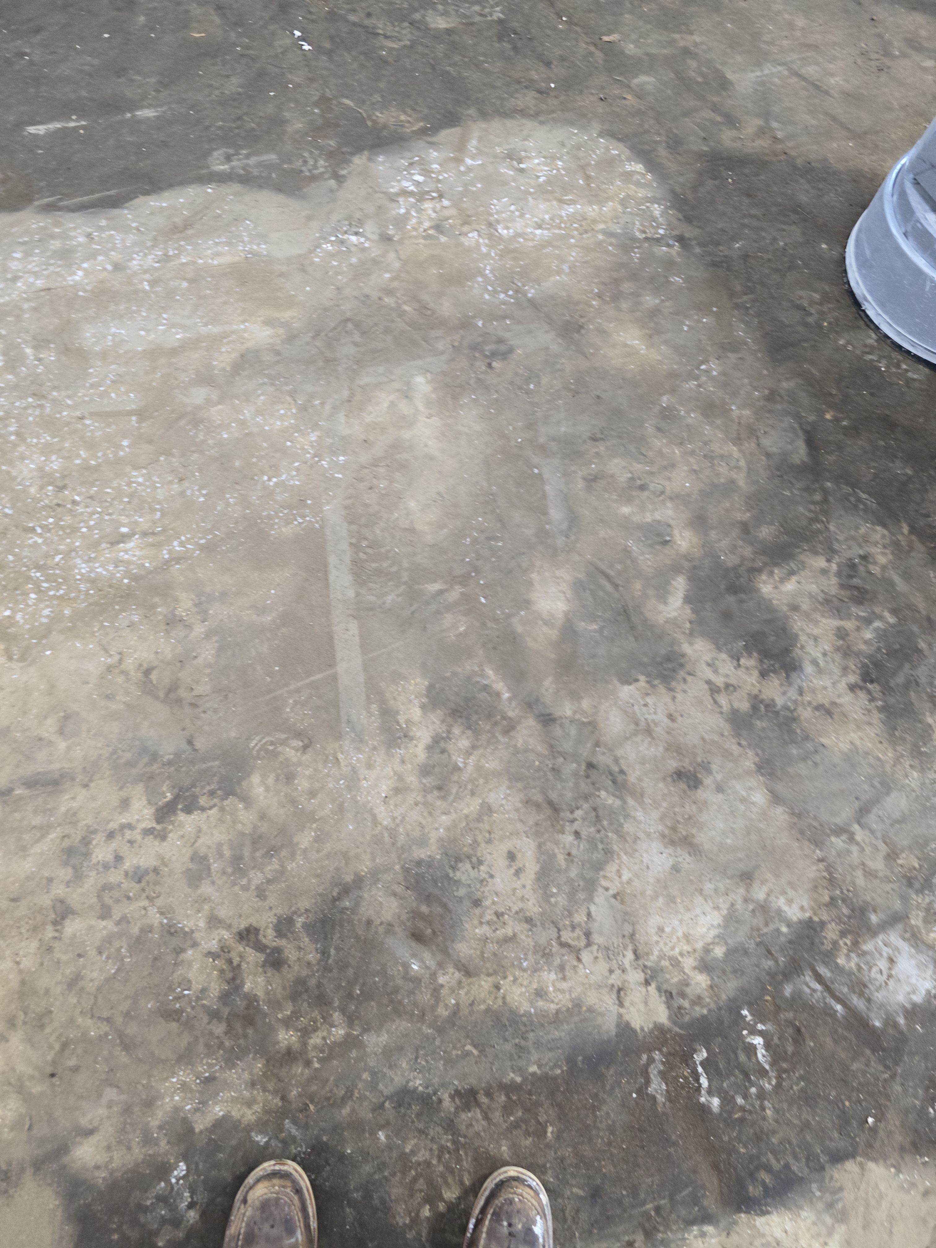 Super old and oily concrete brought back to life by Elite Floor Solutions