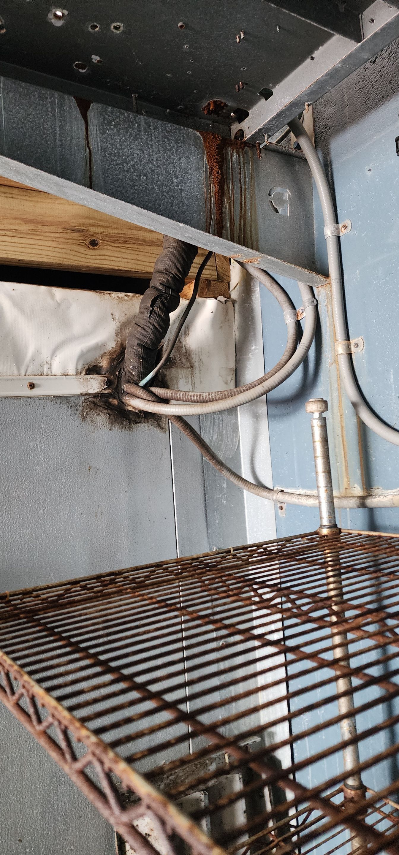 Project in Punta Gorda by Serene Construction