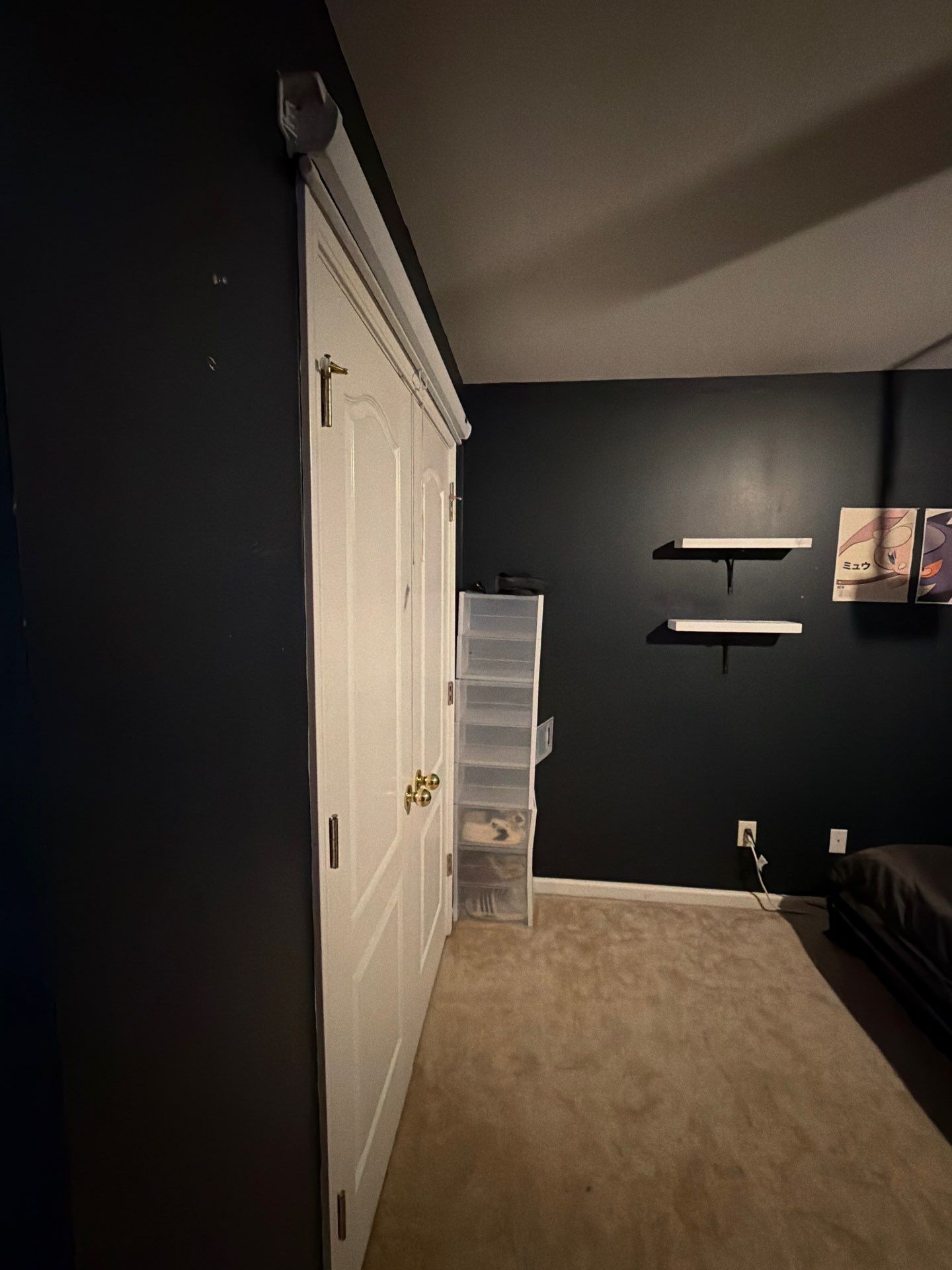 4195 Longlake Dr — Duluth | RenoMaxIT by RENOMAXIT, LLC